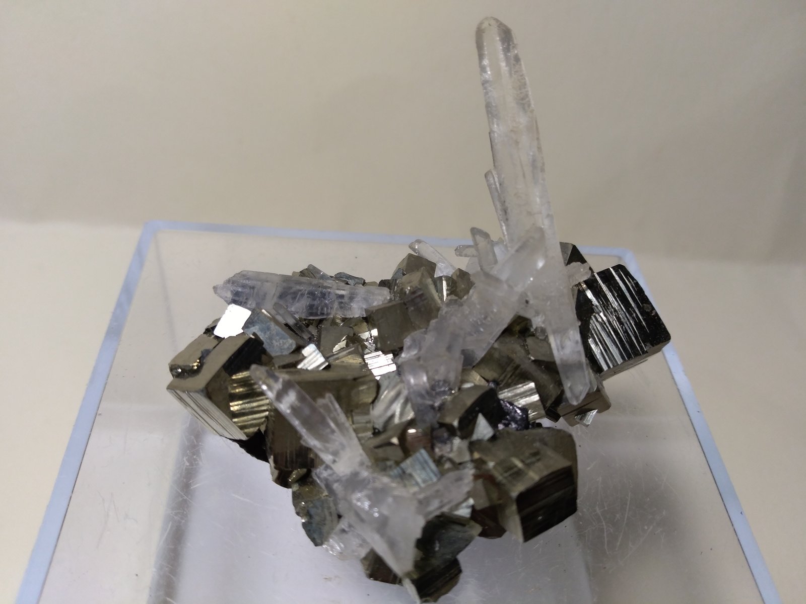 Pyrite, Quartz
56 x 41 mm
(Autor: Sante Celiberti)