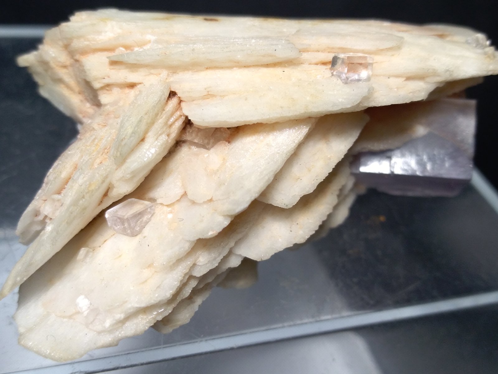 Baryte, Fluorite
58 x 33 mm
(Autor: Sante Celiberti)
