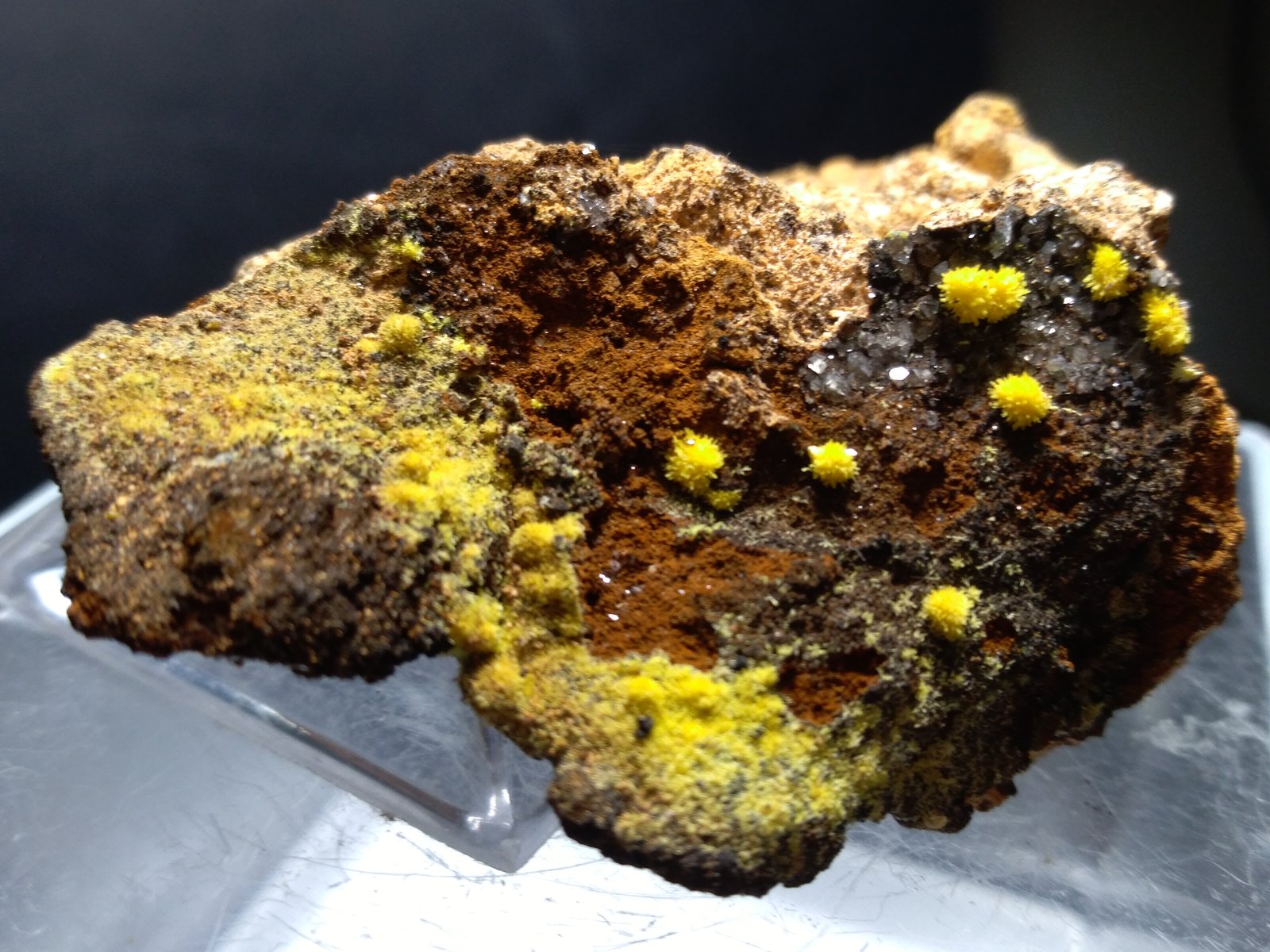 Mimetite
50 x 33 mm
(Autor: Sante Celiberti)