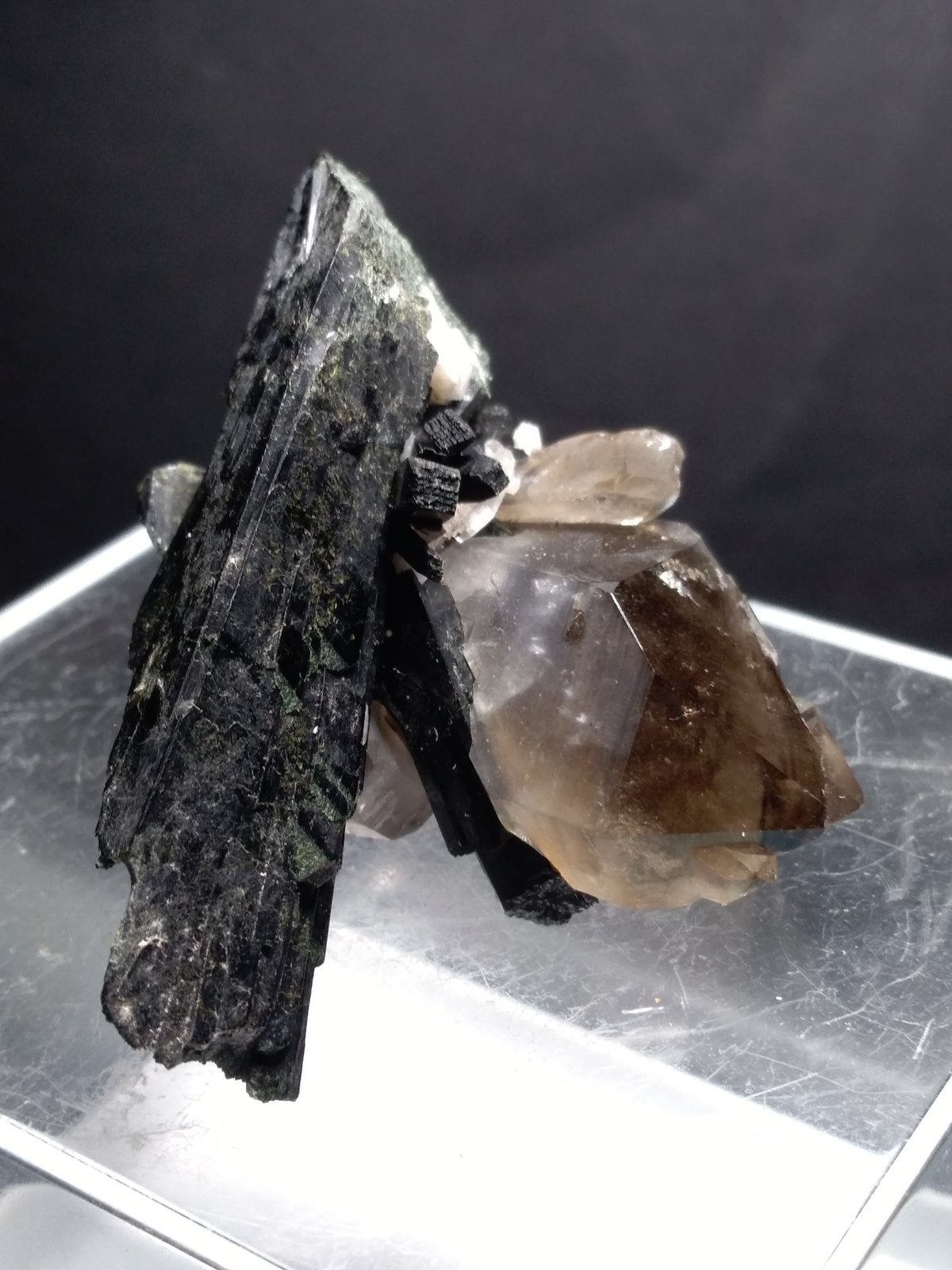 Aegirine, Quartz
53 x 52 mm
(Autor: Sante Celiberti)