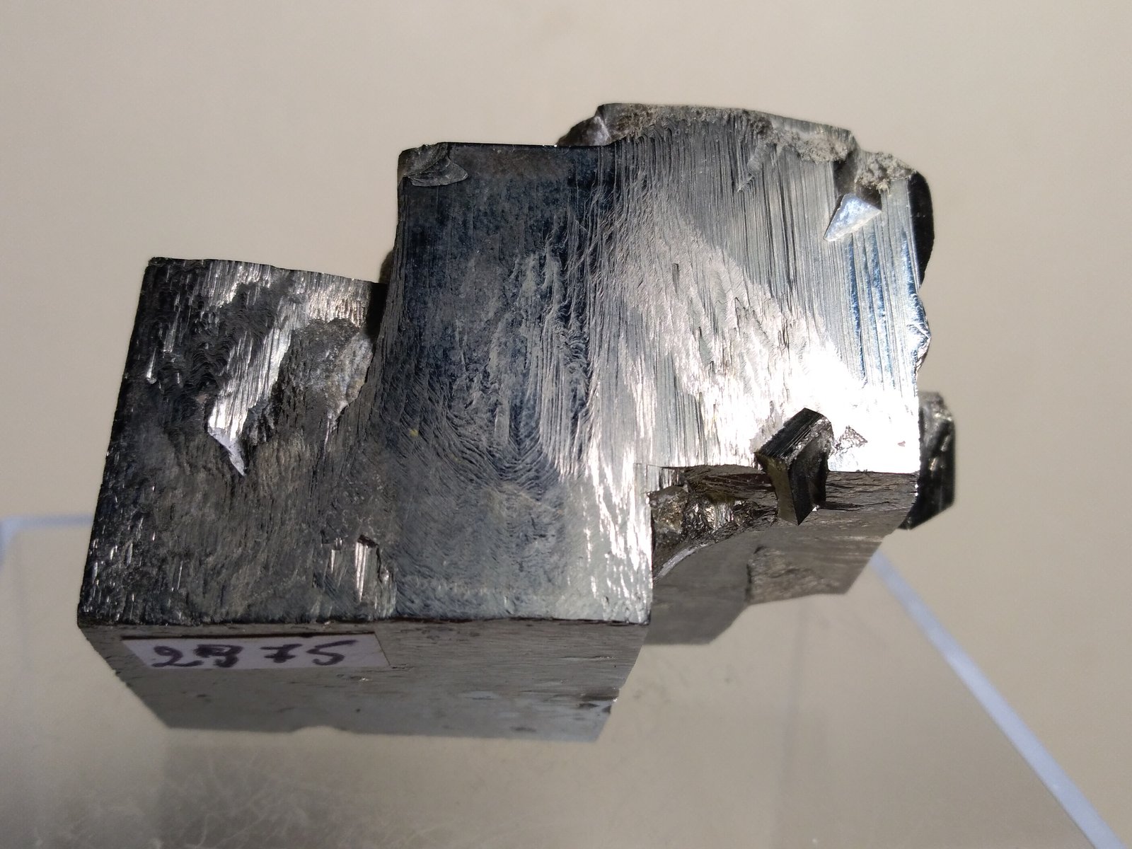 Pyrite
52 x 36 mm
(Autor: Sante Celiberti)