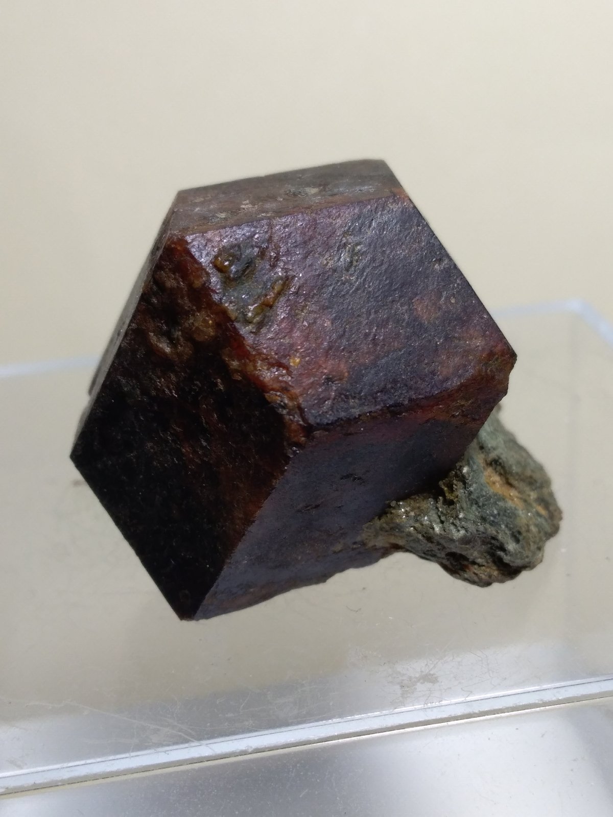 Almandine
45 x 38 mm
(Autor: Sante Celiberti)