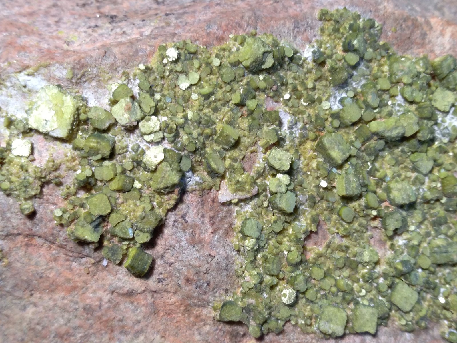 Autunite.
17,5 x 10 cm
(Autor: Sante Celiberti)