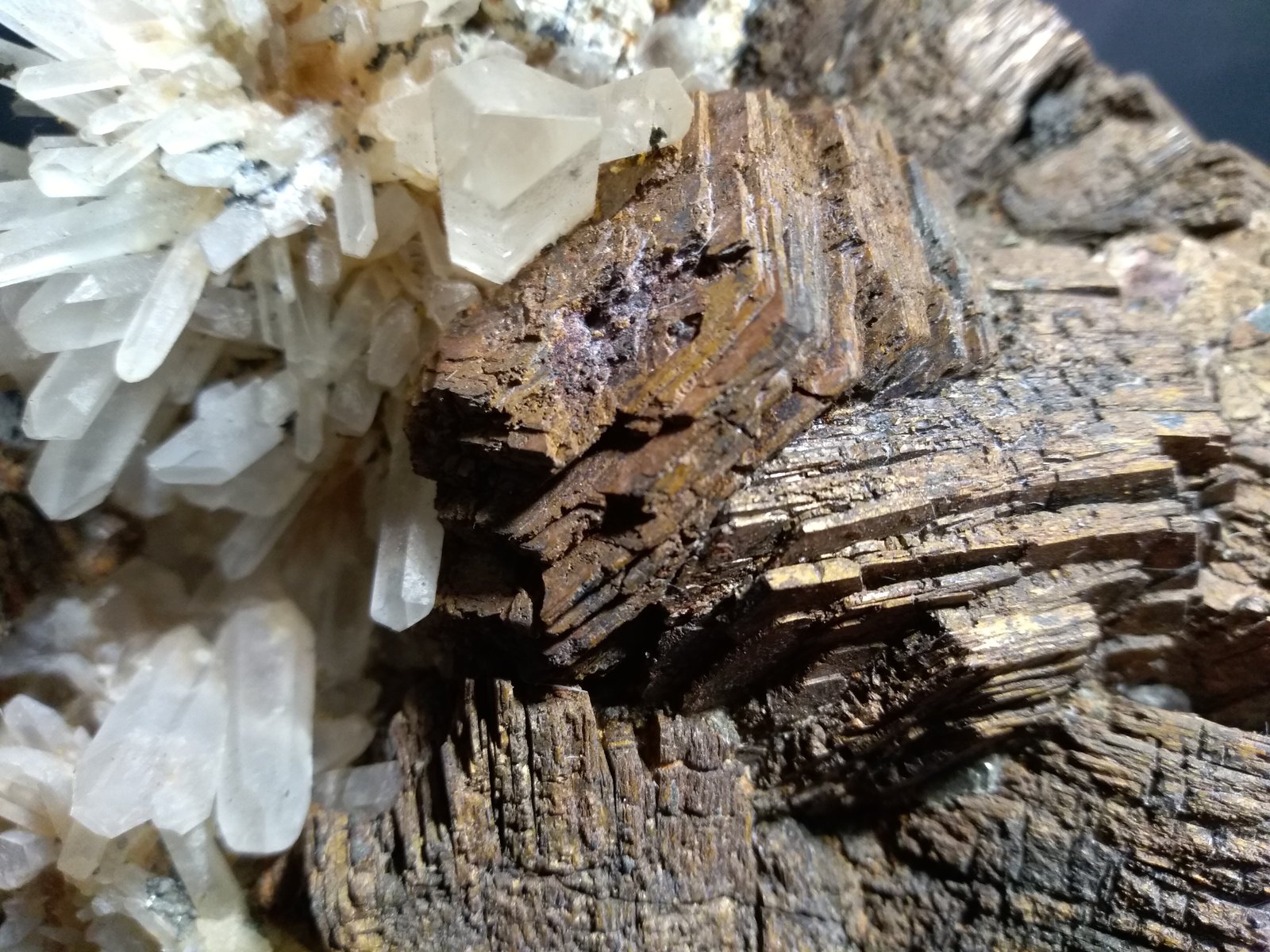 Pyrrhotite, Quartz
16 x 14 cm
(Autor: Sante Celiberti)