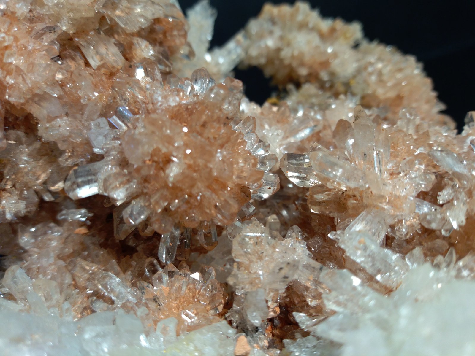 Creedite
18,5 x 17,5 cm
(Autor: Sante Celiberti)