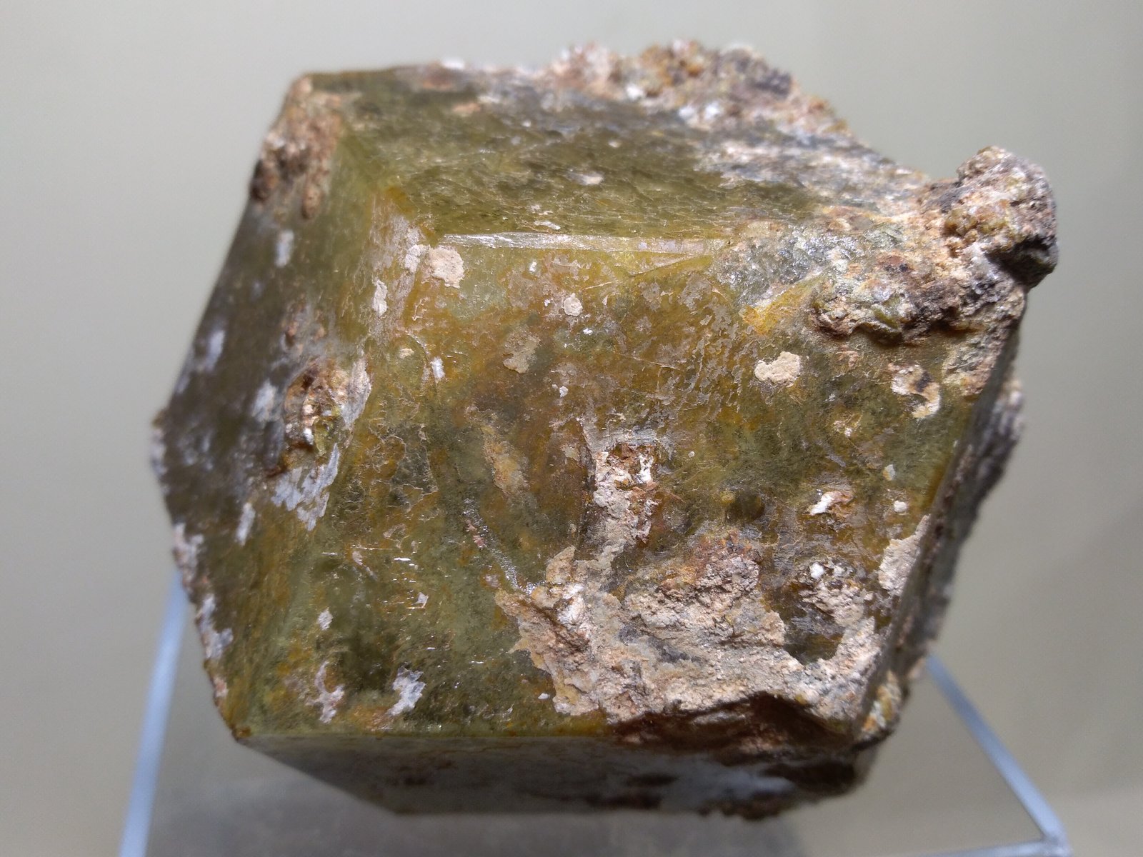 Andradite-Grossular Series
75 x 72 mm
(Autor: Sante Celiberti)