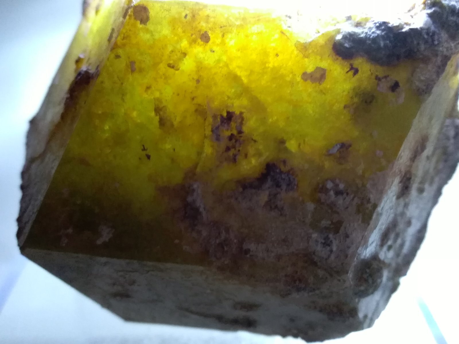 Andradite-Grossular Series
75 x 72 mm
(Autor: Sante Celiberti)