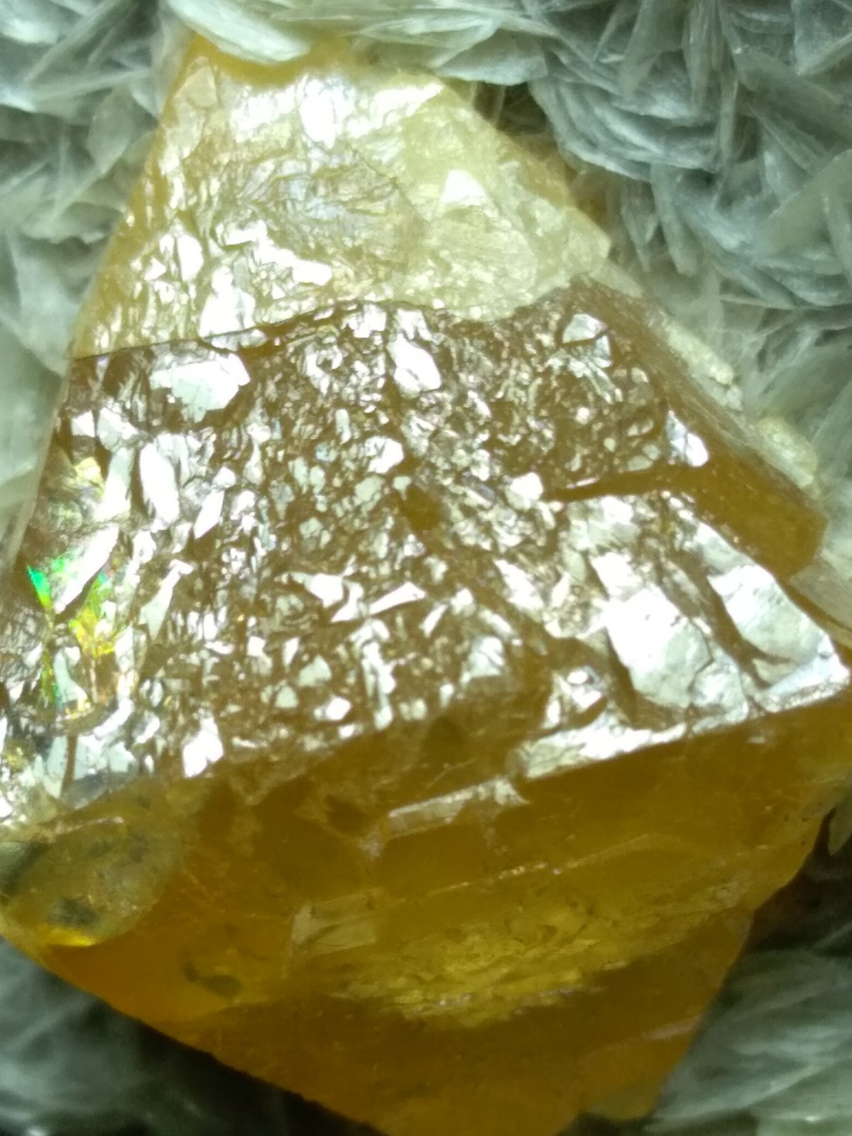 Scheelite, Muscovite
12 x 9 cm
(Autor: Sante Celiberti)