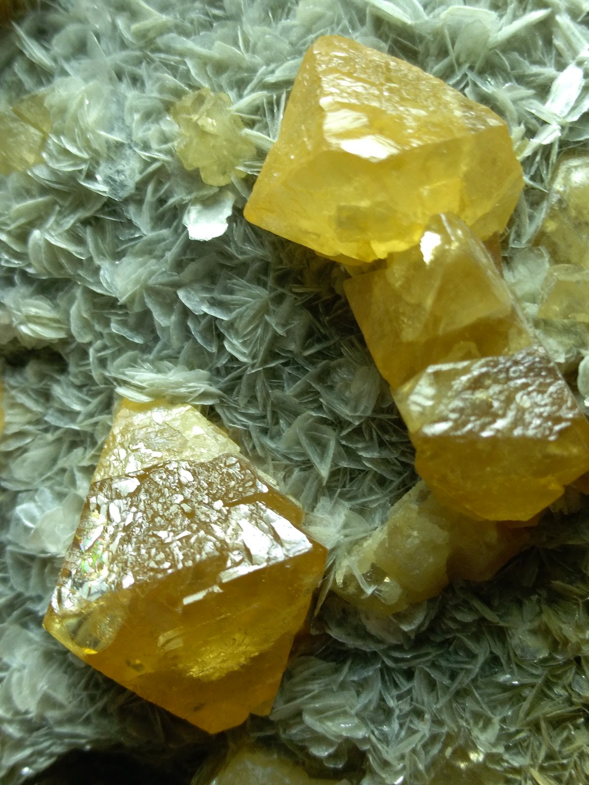Scheelite, Muscovite
12 x 9 cm
(Autor: Sante Celiberti)