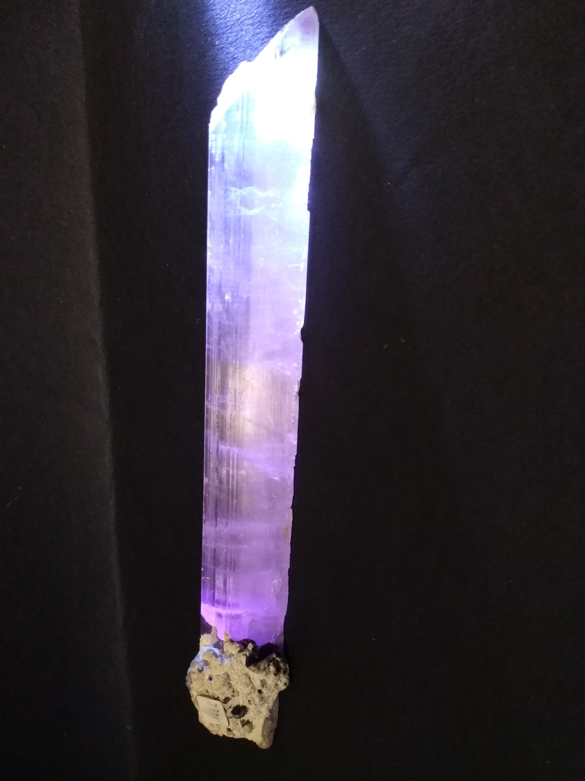 Spodumene (variety kunzite), Quartz (variety smoky), Albite
25,5 x 3,5 cm
(Autor: Sante Celiberti)