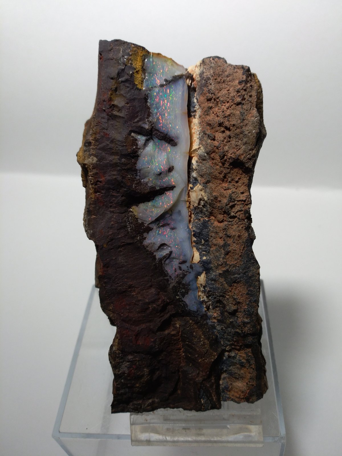 Opal,
10 x 5 cm
(Autor: Sante Celiberti)