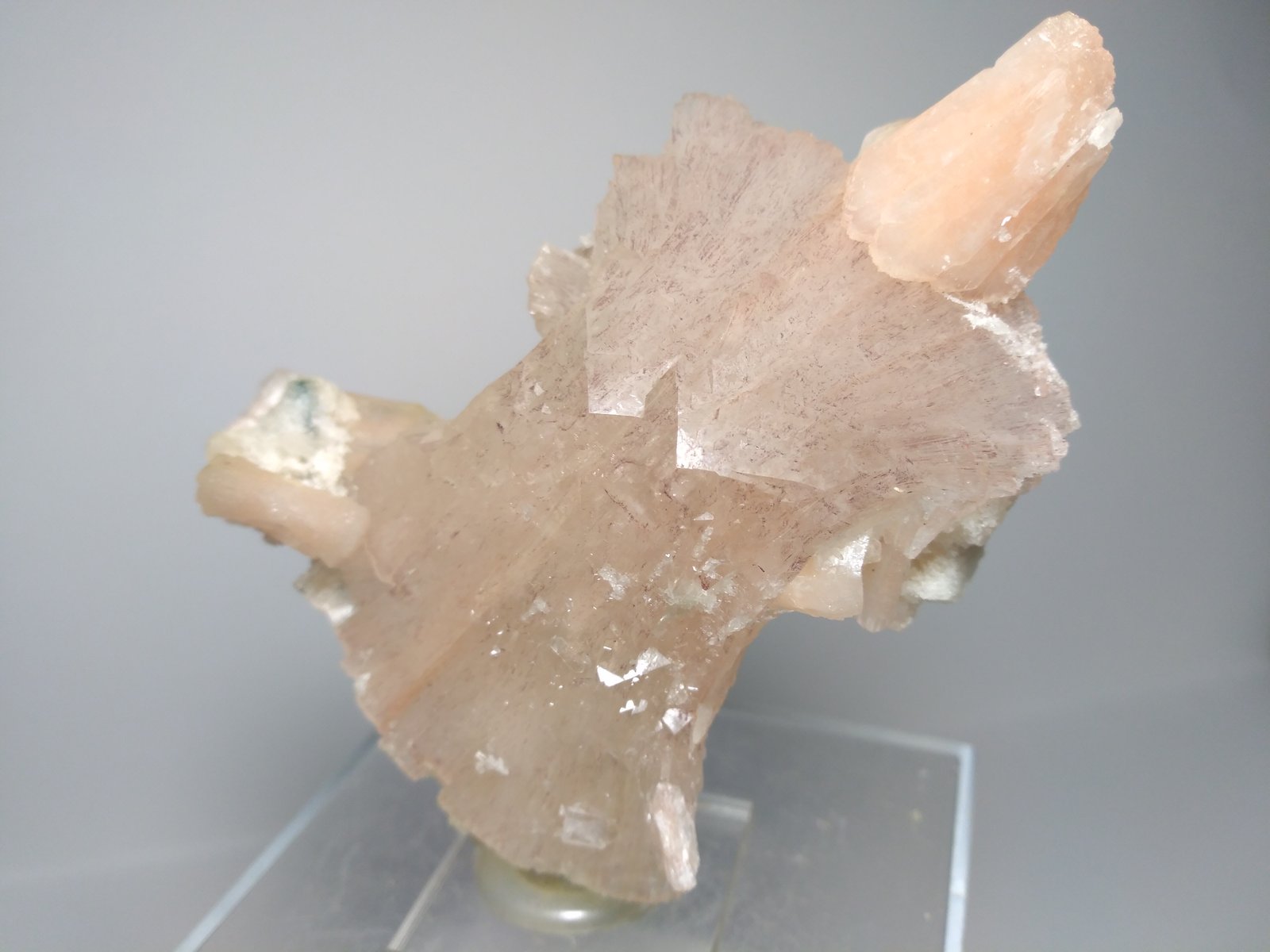 Heulandite-Ca, Stilbite-Ca
9 x 6,5 cm
(Autor: Sante Celiberti)