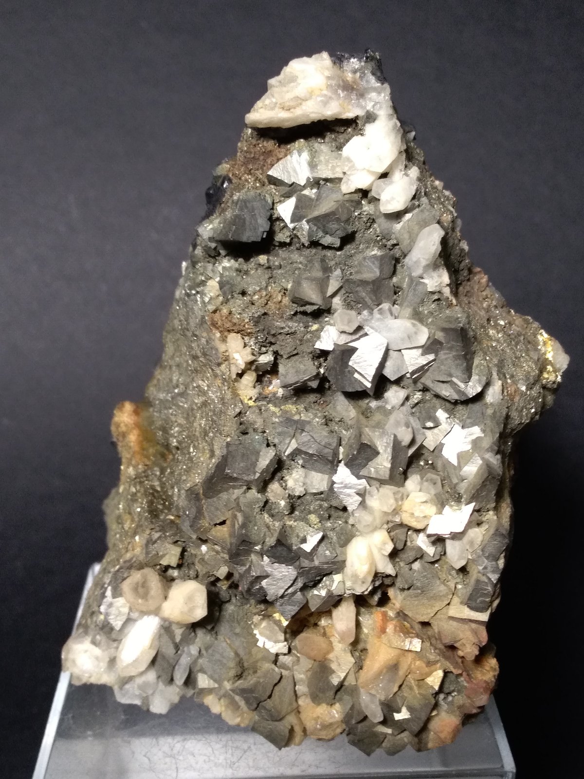 Arsenopyrite, Quartz
11,5 x 8 cm
(Autor: Sante Celiberti)