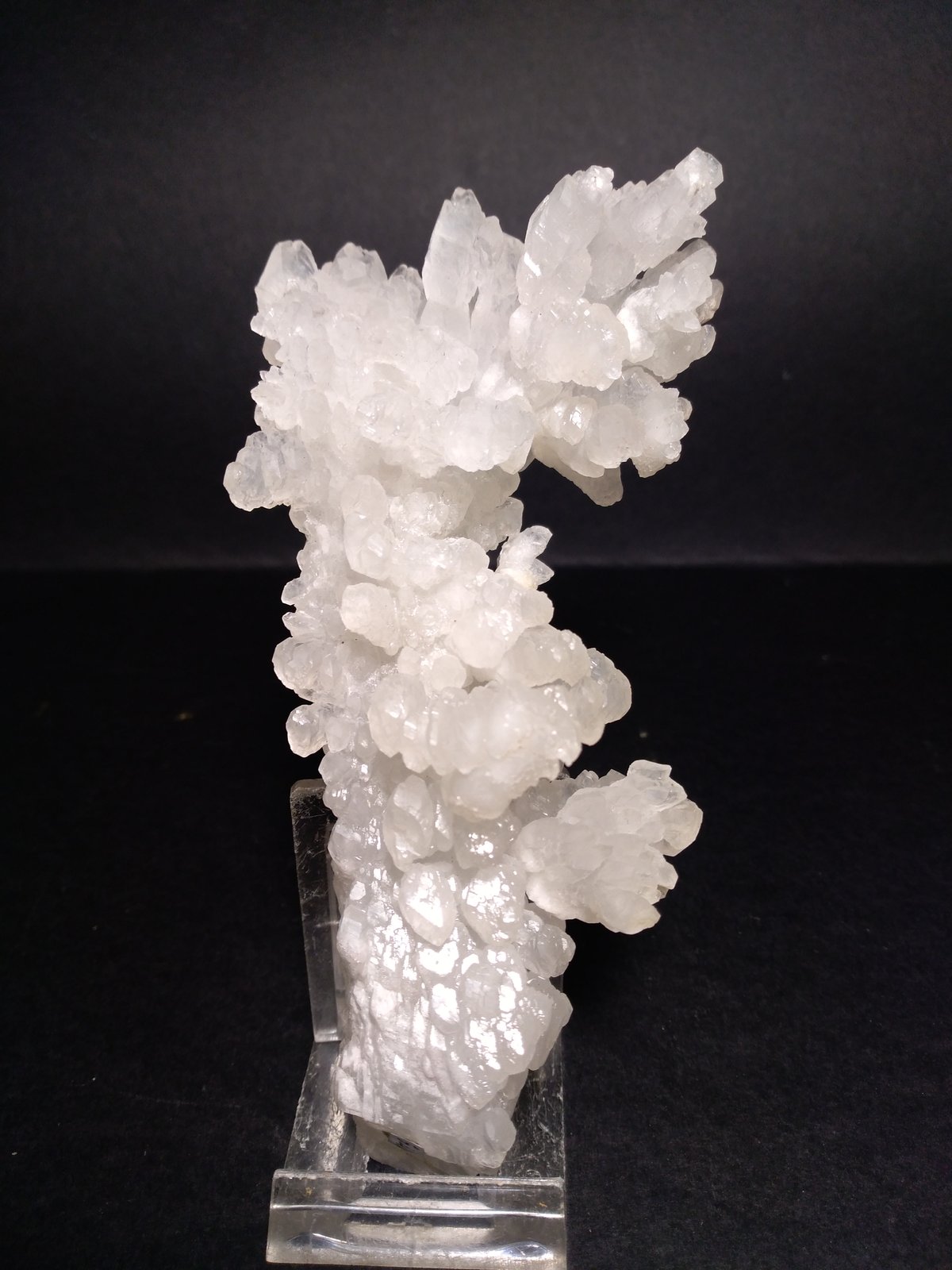 Aragonite
14 x 6,5 cm
(Autor: Sante Celiberti)