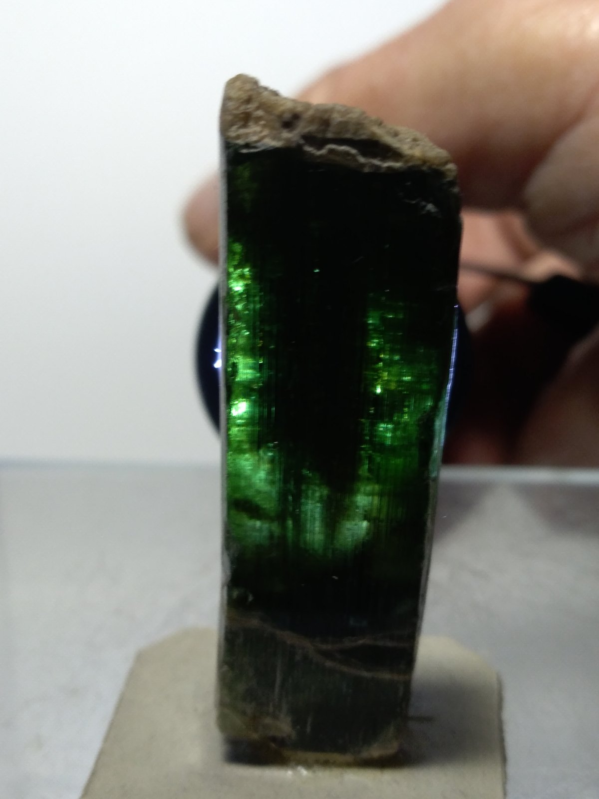 Diopside
45 x 14 mm
(Autor: Sante Celiberti)