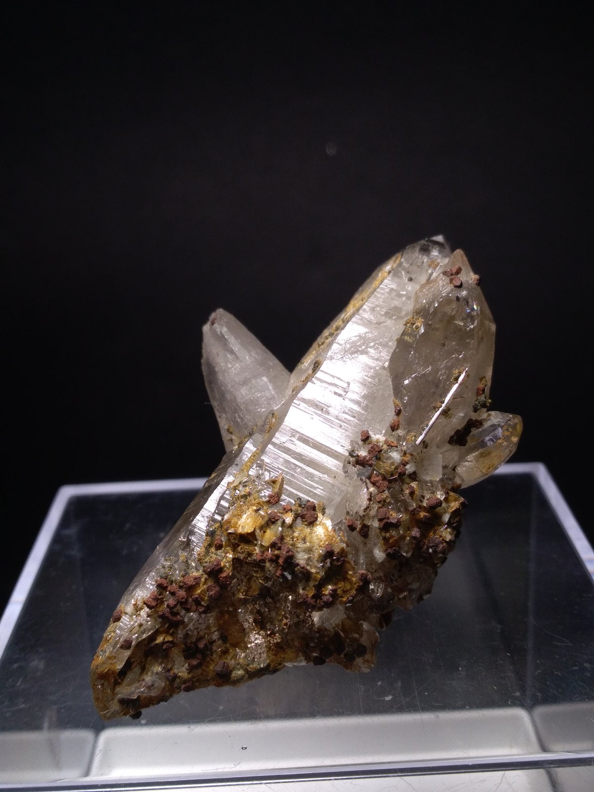 Quartz, Rutile, Muscovite
67 x 44 mm
(Autor: Sante Celiberti)