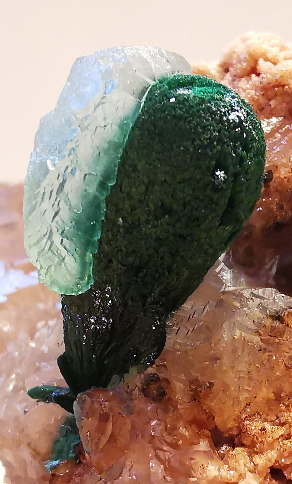 Malachite
1,5 cm
(Autor: Enrique Llorens)