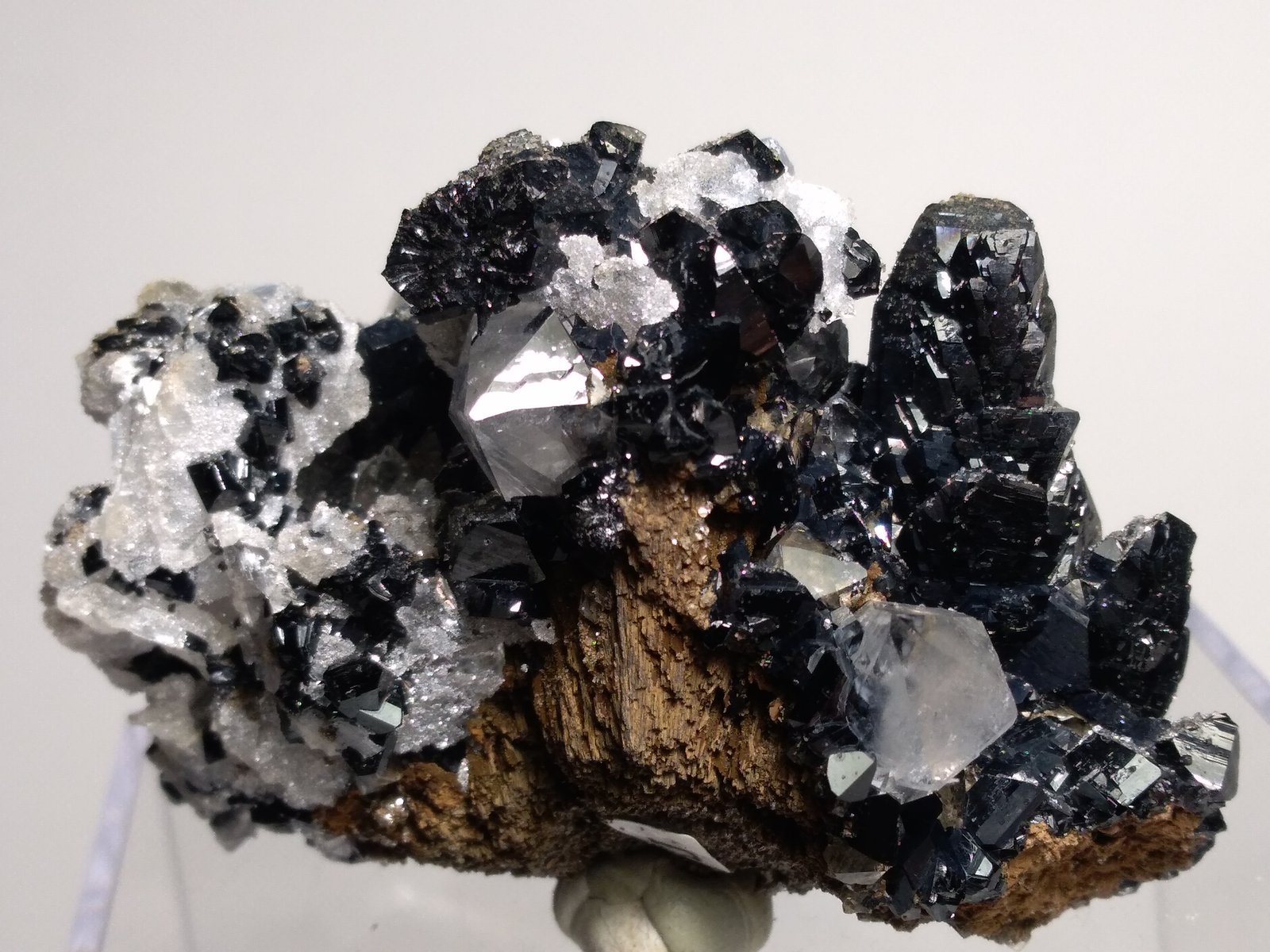 Ilvaite, Quartz, Calcite
65 x 45 mm
(Autor: Sante Celiberti)