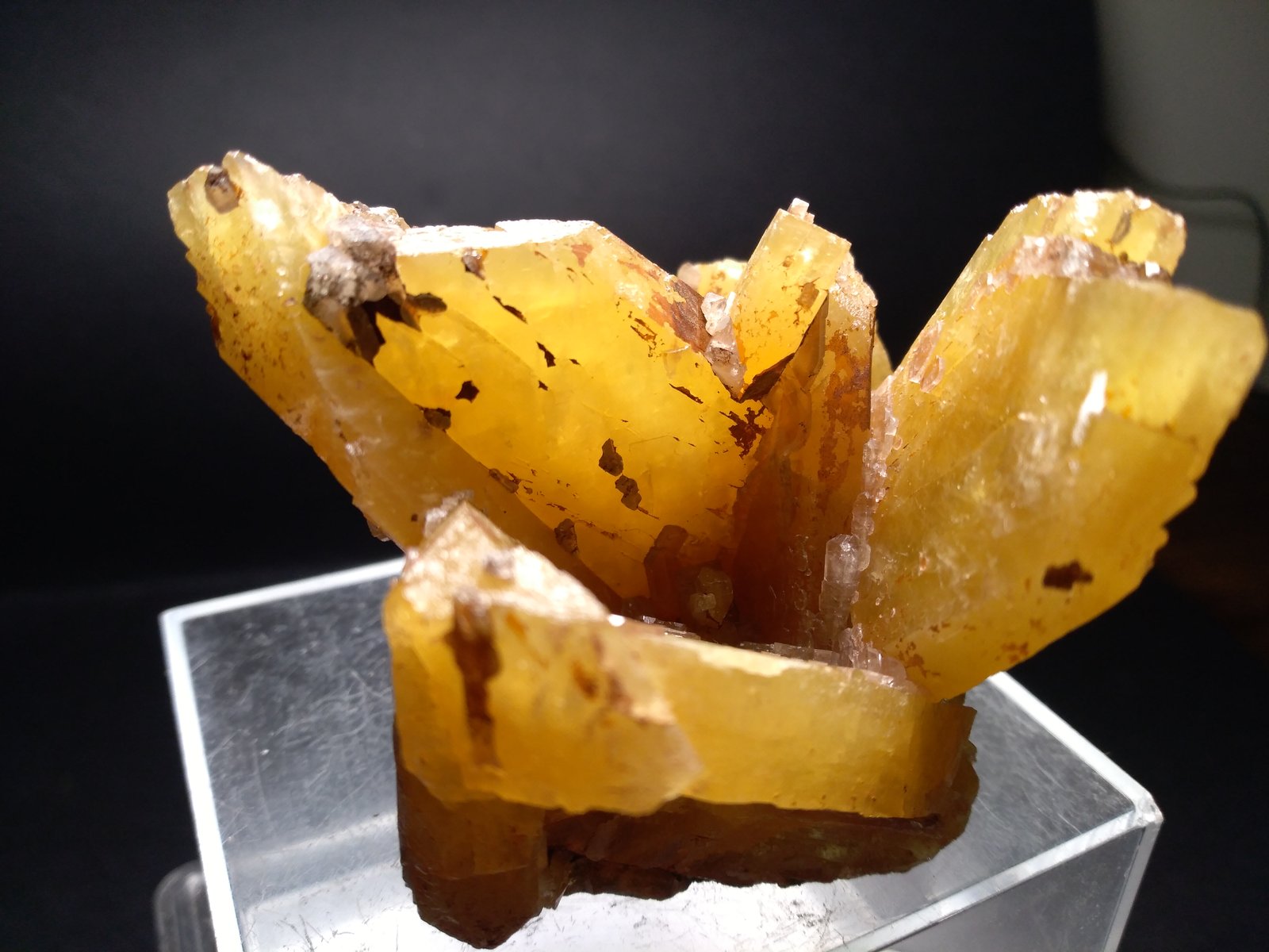 Baryte
73 x 62 mm
(Autor: Sante Celiberti)