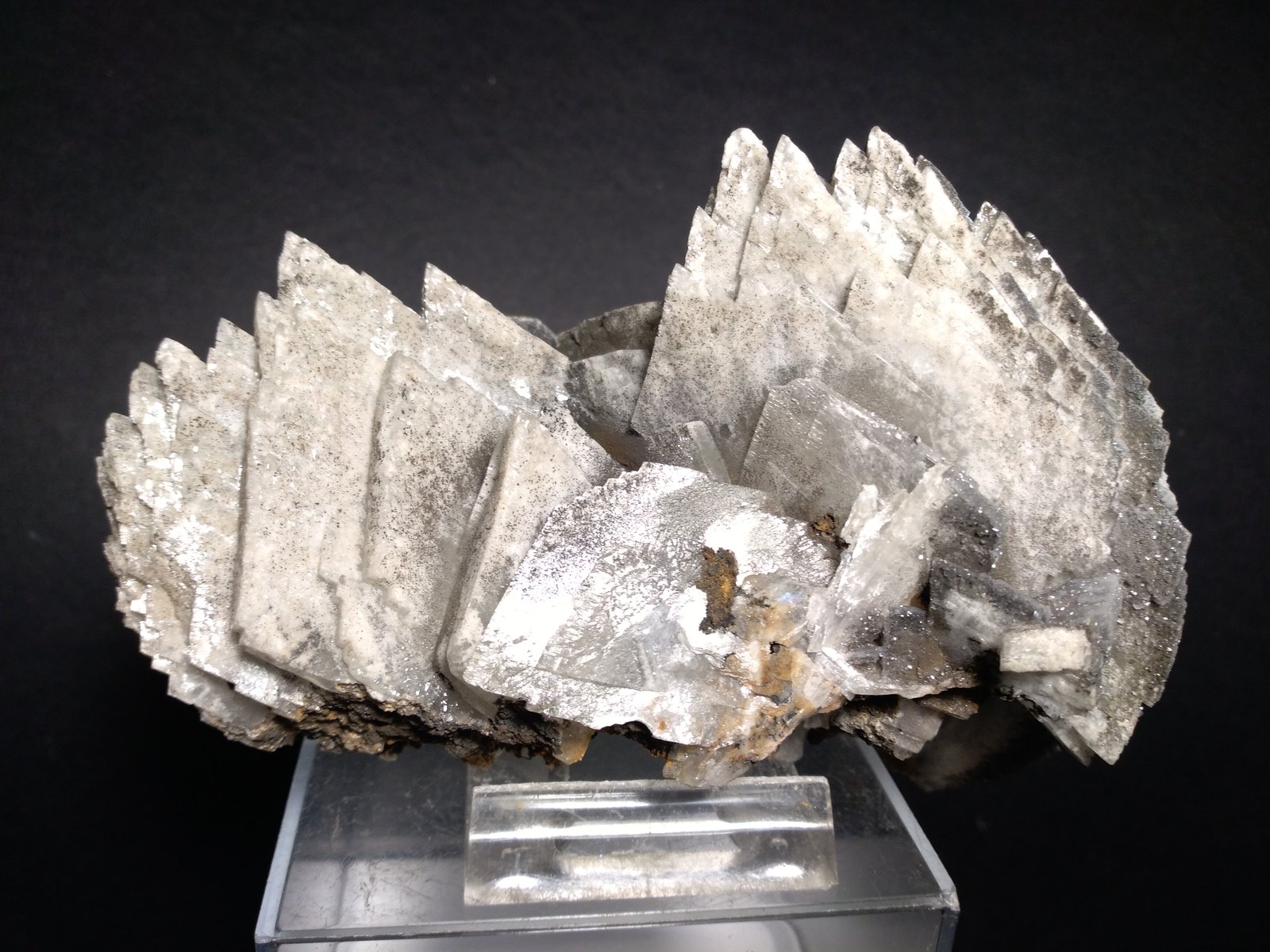 Baryte
12 x 9,5 cm
(Autor: Sante Celiberti)