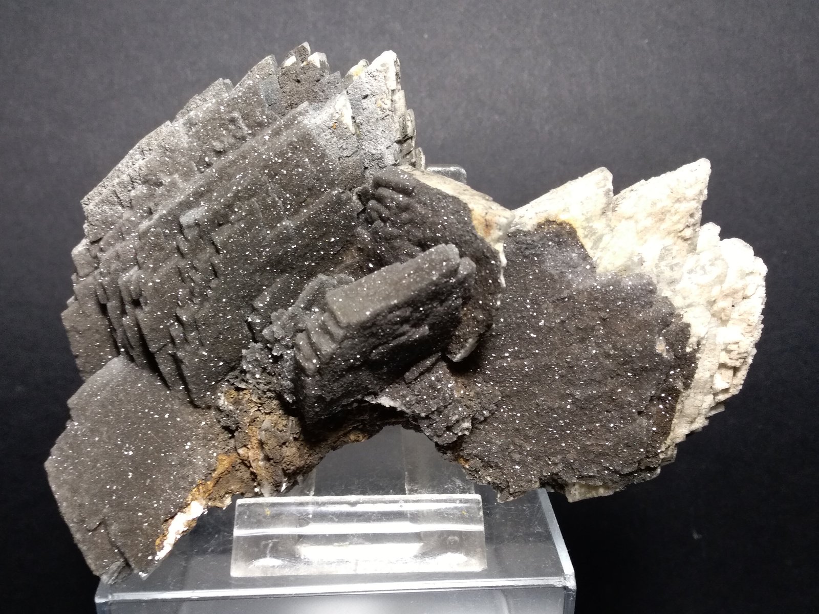 Baryte
12 x 9,5 cm
(Autor: Sante Celiberti)