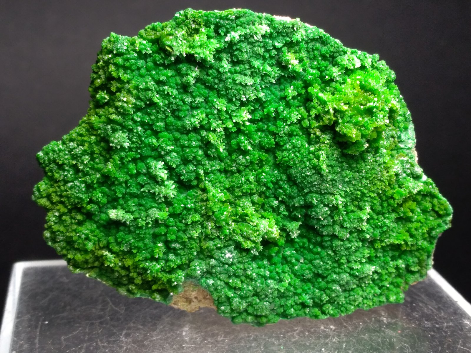Pyromorphite
65 x 48 mm
(Autor: Sante Celiberti)