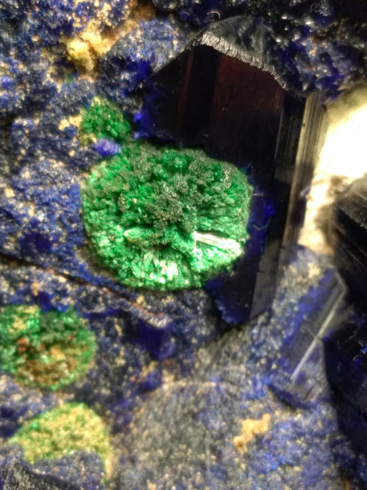 Azurite, Malachite, Tsumcorite, Schultenite, Beaverite-(Cu), Copper, Zincolivenite, Keyite, Calcite
85 x 75 mm
(Autor: Sante Celiberti)