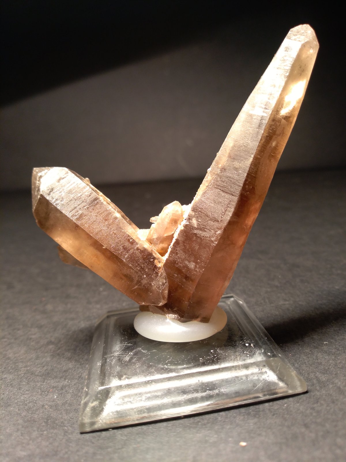 Quartz (variety smoky), Eudidymite
65 x 50 mm
(Autor: Sante Celiberti)