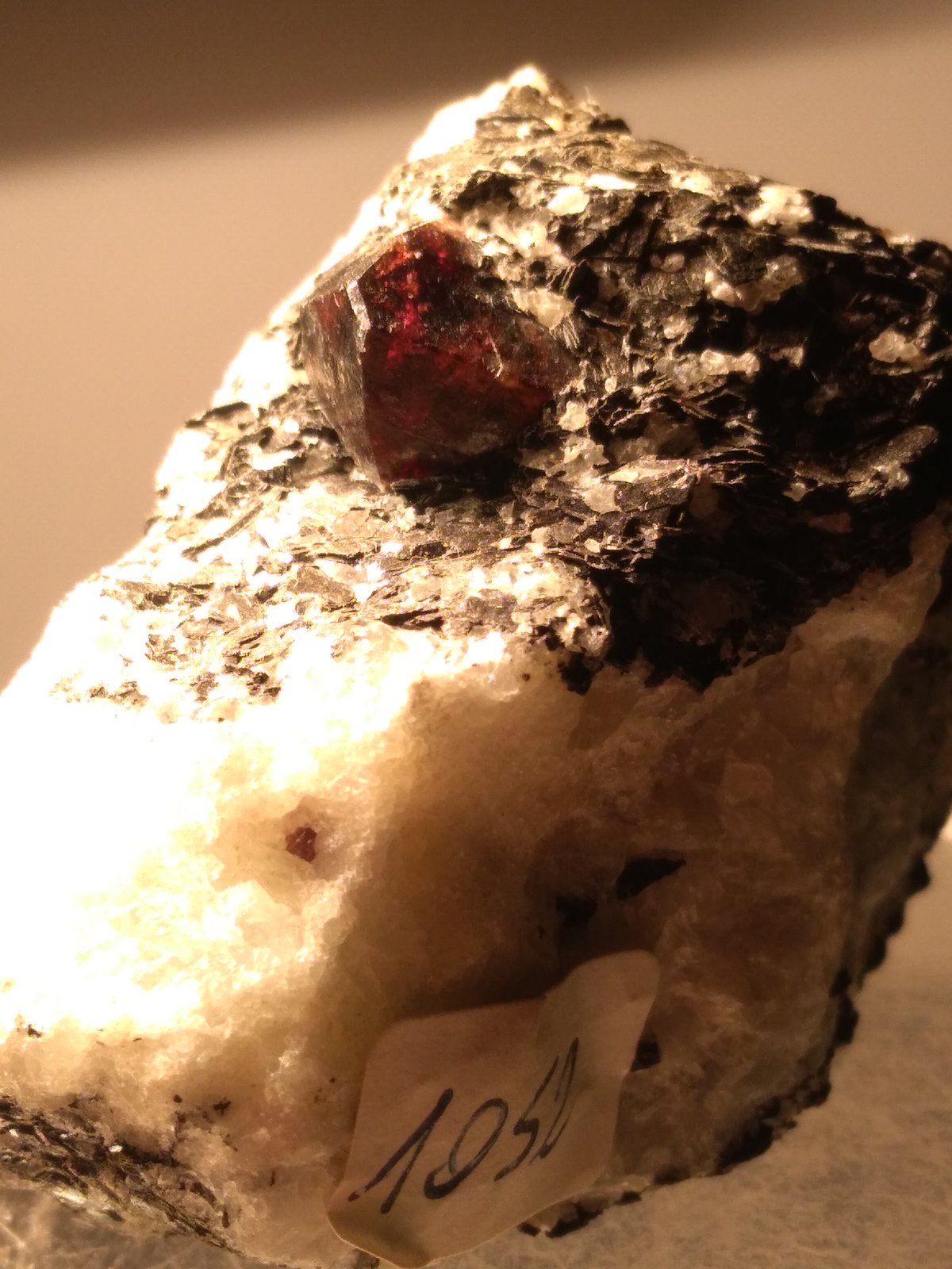 Zircon
58 x 43 mm
(Autor: Sante Celiberti)