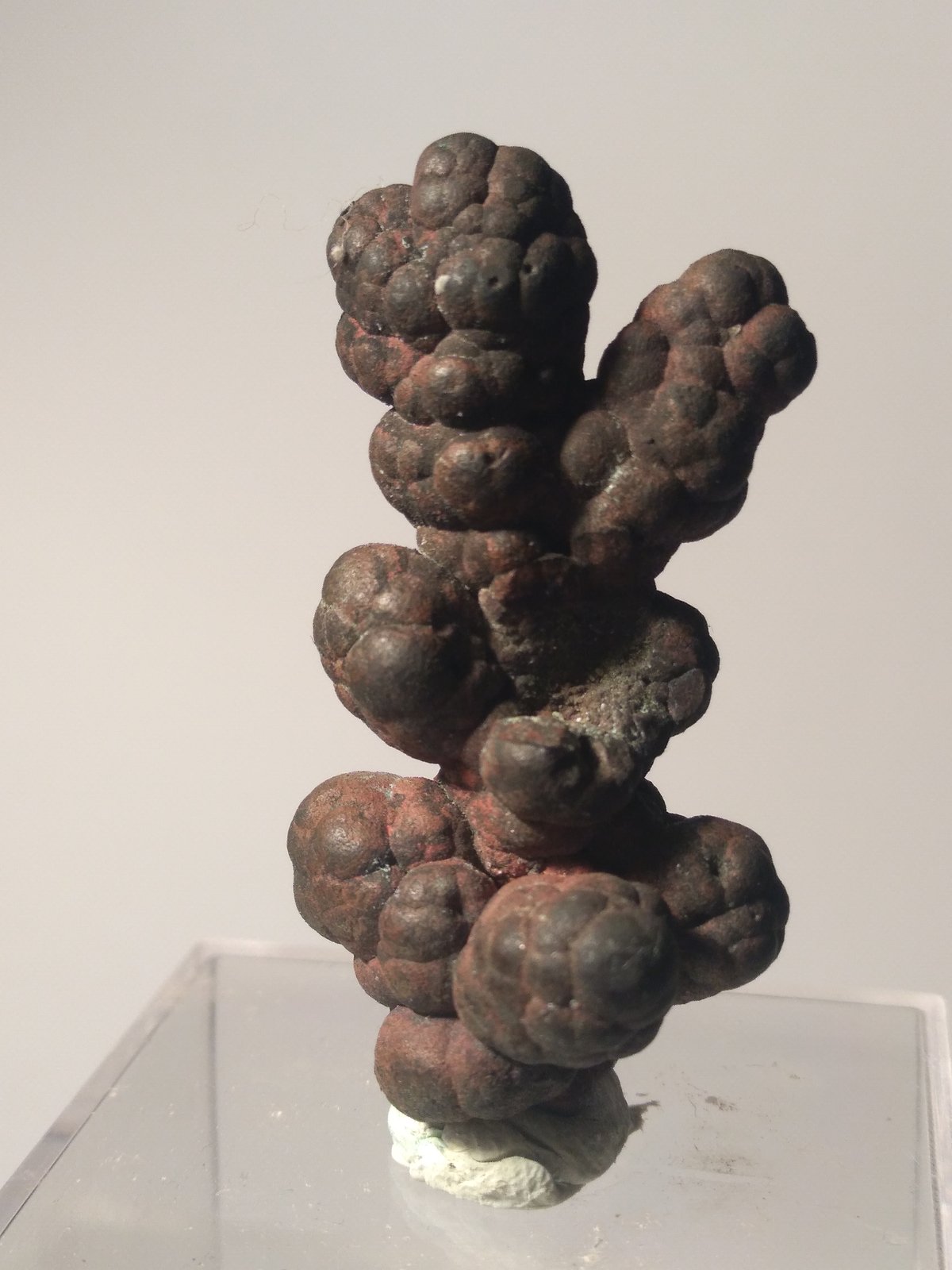 Copper
40 x 20 mm
(Autor: Sante Celiberti)