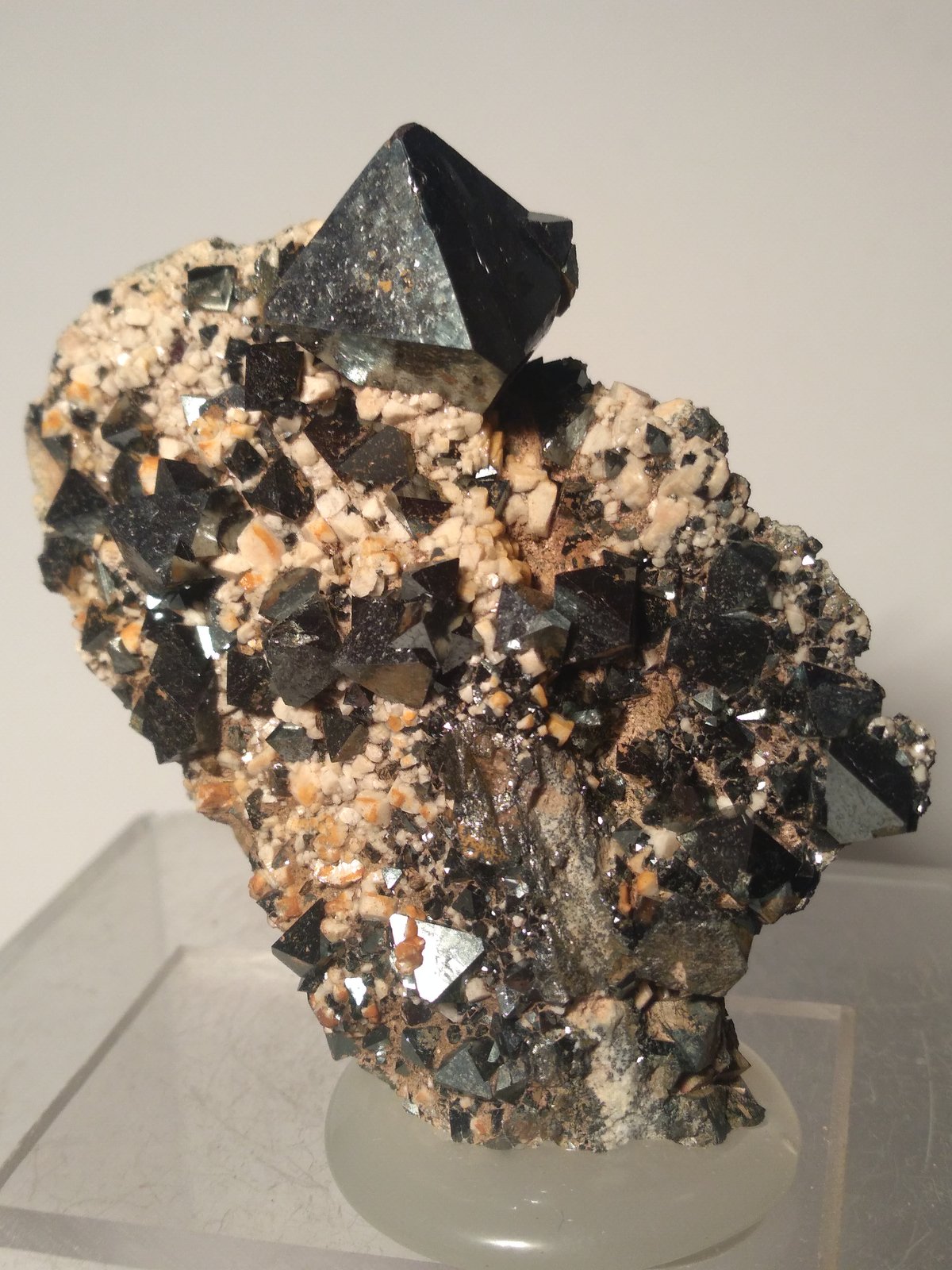 Magnetite
62 x 40 mm
(Autor: Sante Celiberti)