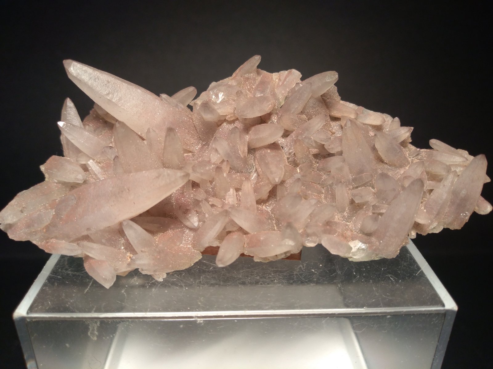 Quartz (variety amethyst)
96 x 50 mm
(Autor: Sante Celiberti)