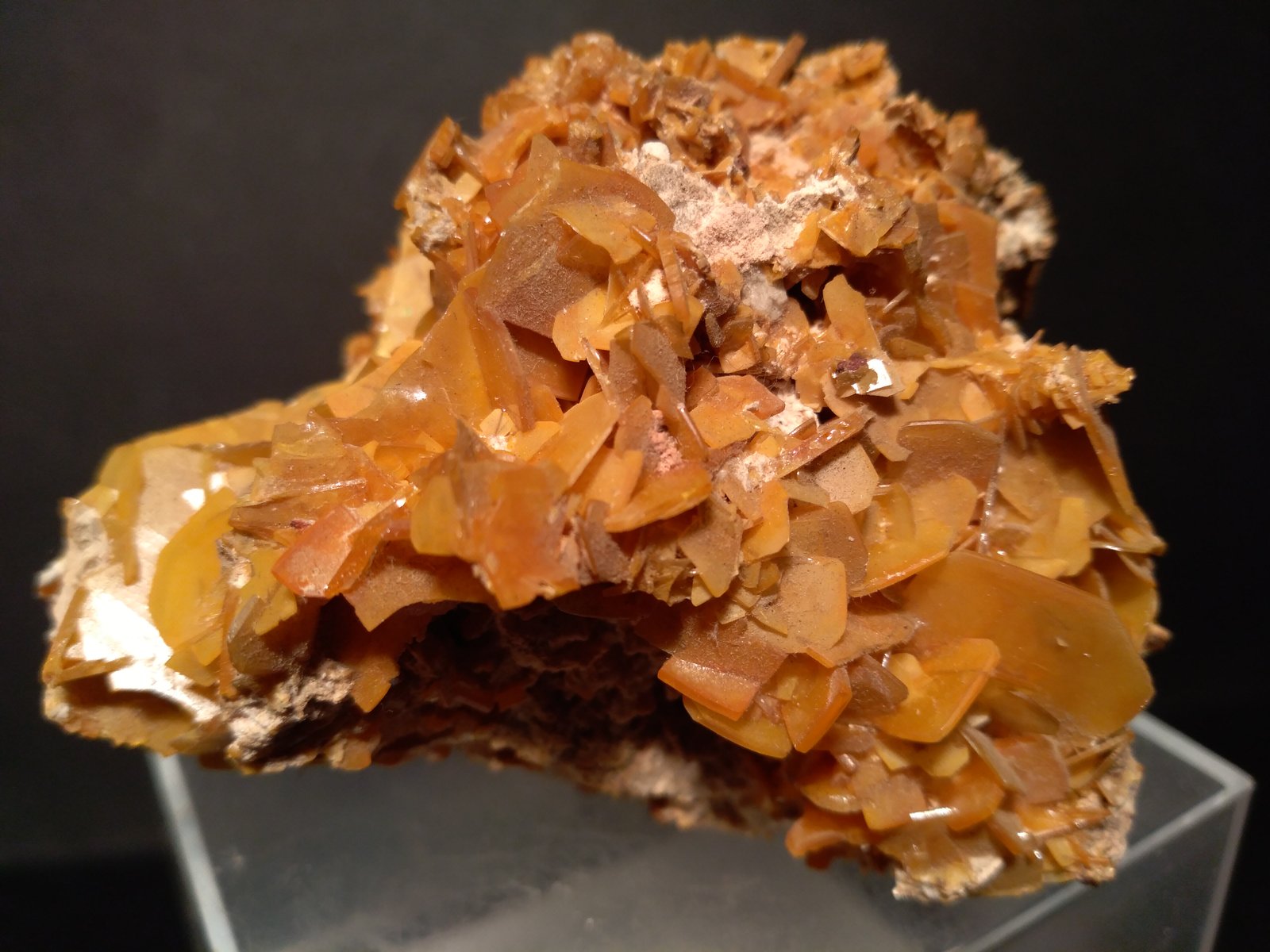 Wulfenite
81 x 69
(Autor: Sante Celiberti)