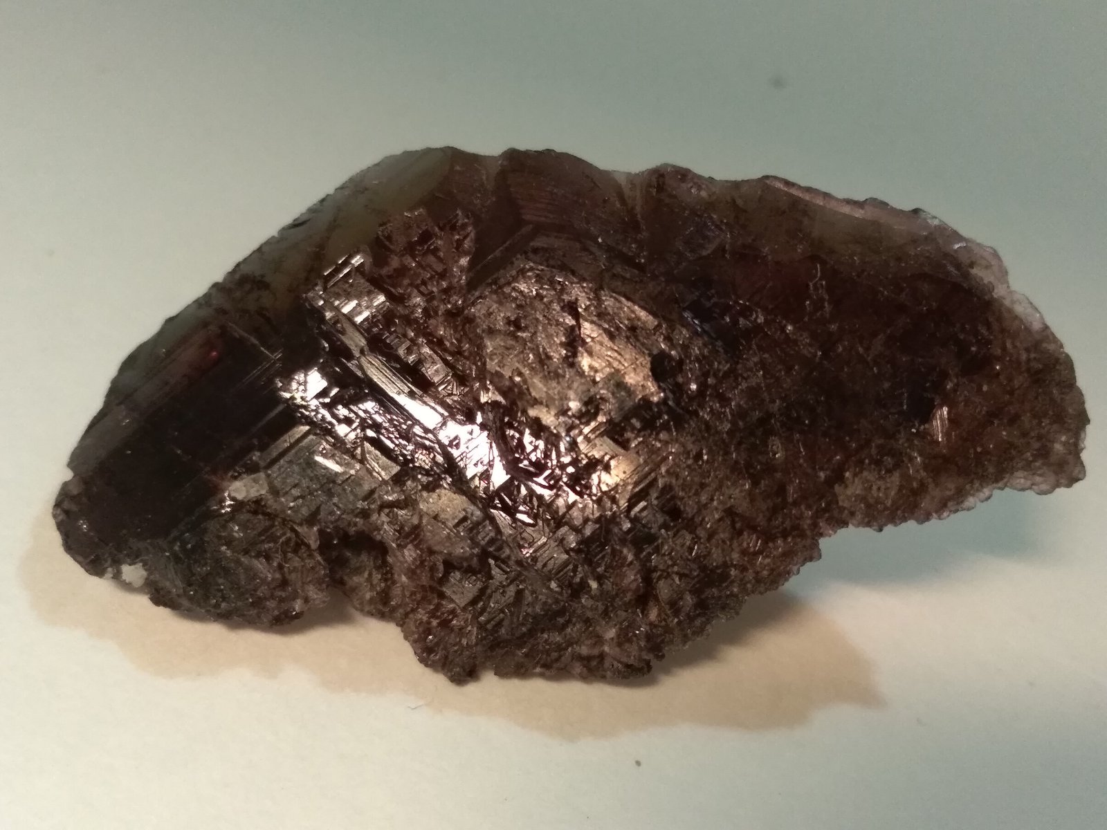 Axinite-Fe
41 x 24 mm
(Autor: Sante Celiberti)