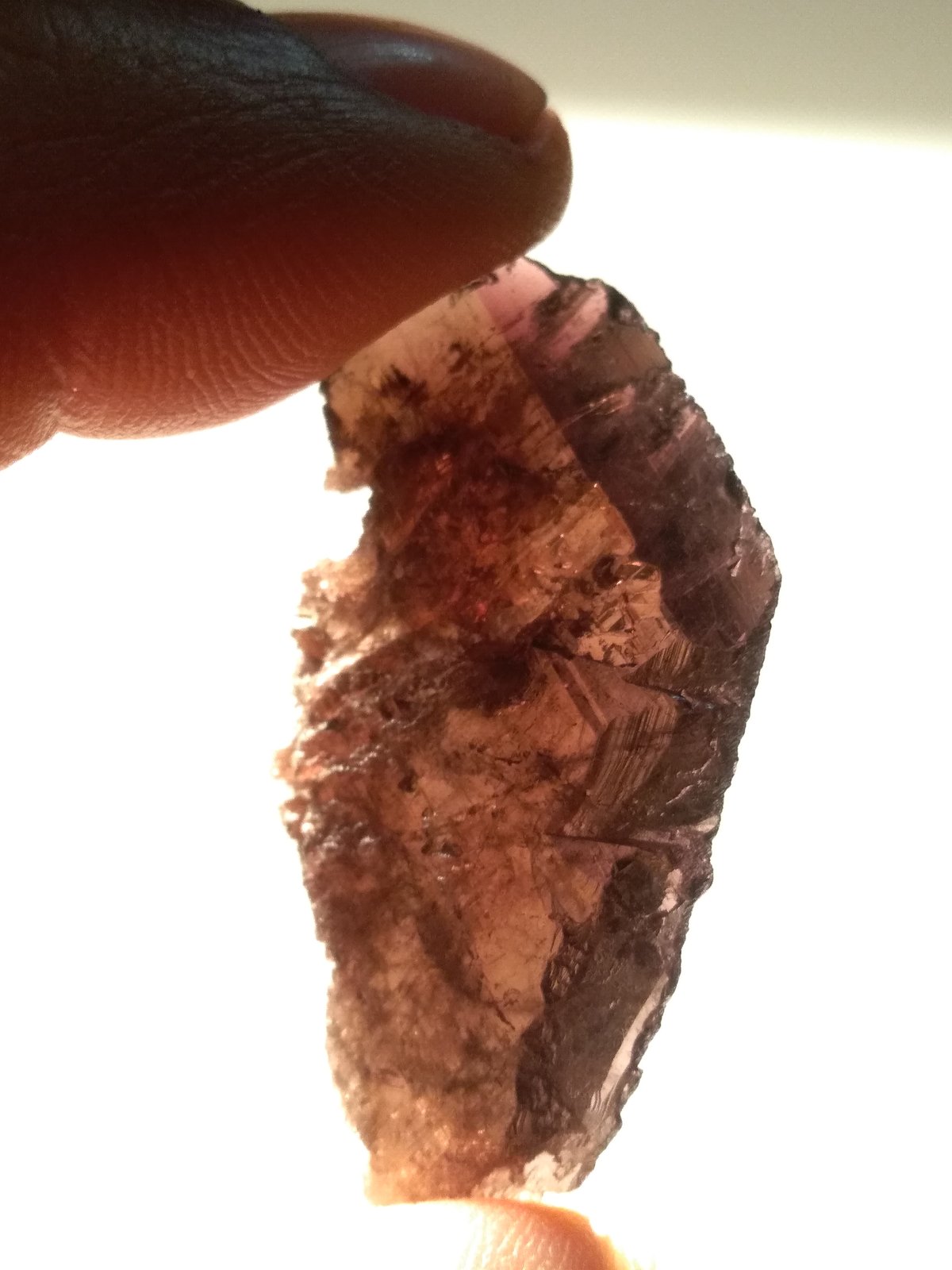 Axinite-Fe
41 x 24 mm
(Autor: Sante Celiberti)