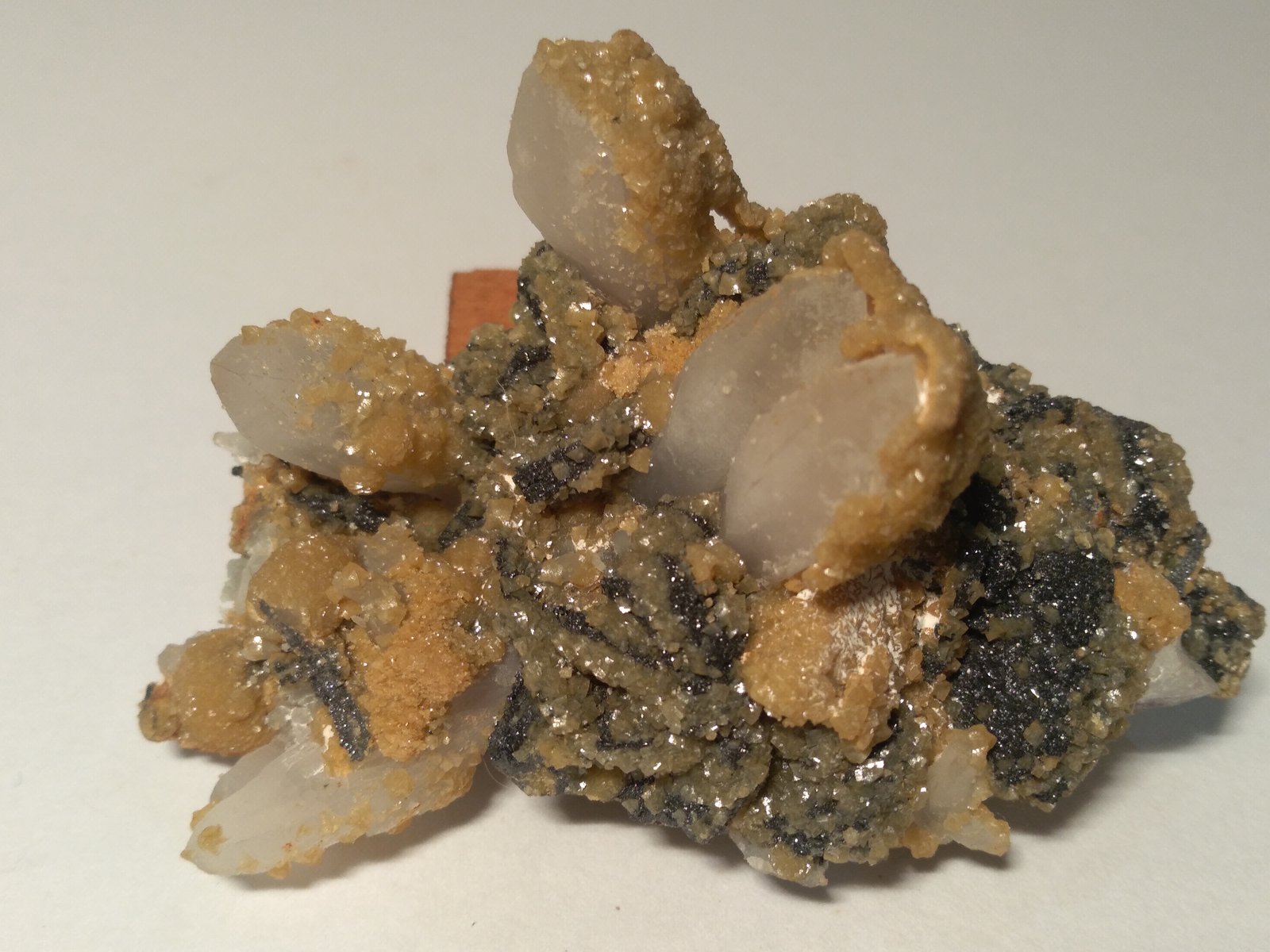 Quartz, Siderite, Sphalerite
75 x 56 mm
(Autor: Sante Celiberti)