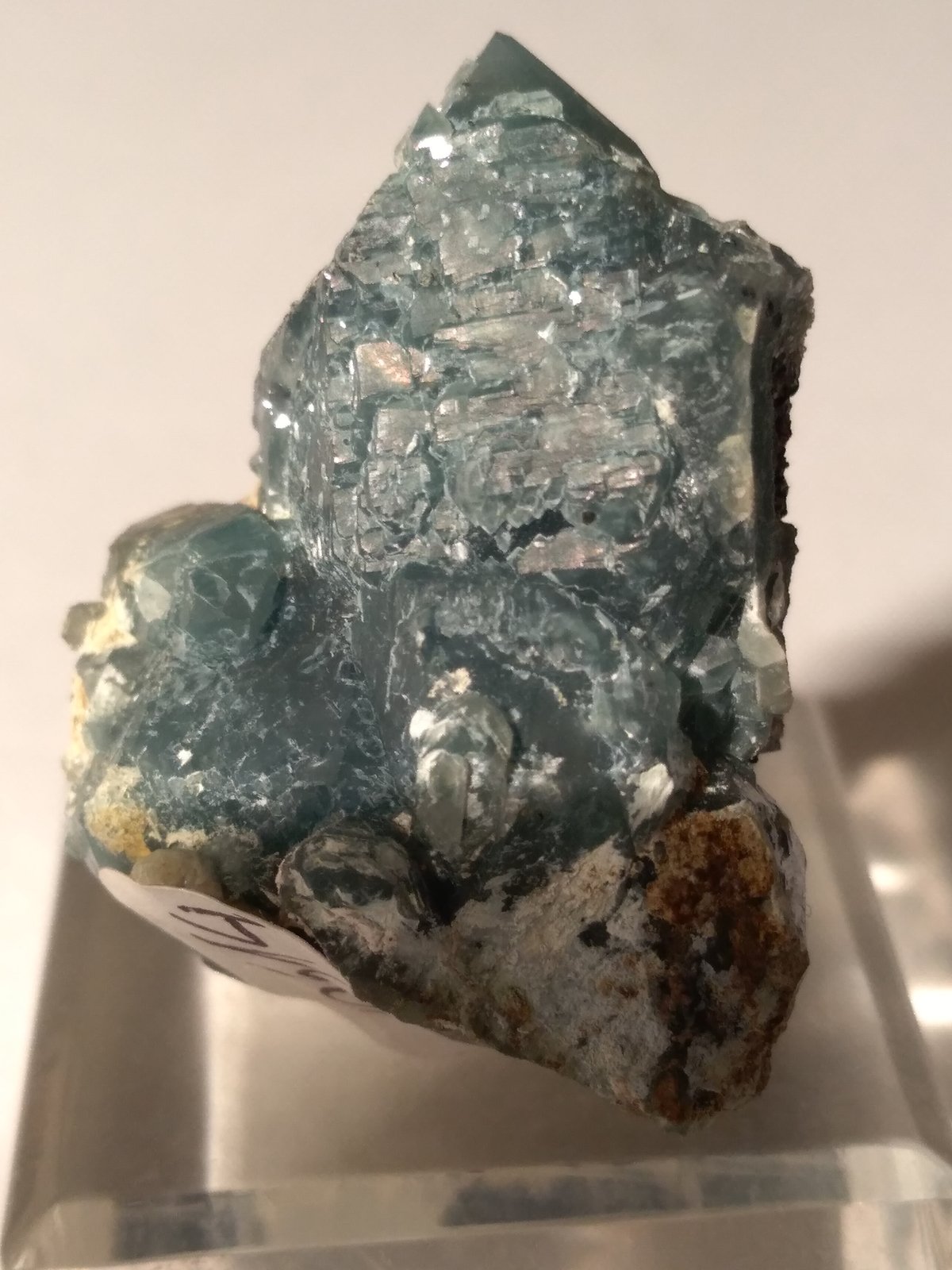 Quartz (variety blue quartz)
31 x 21 mm
(Autor: Sante Celiberti)