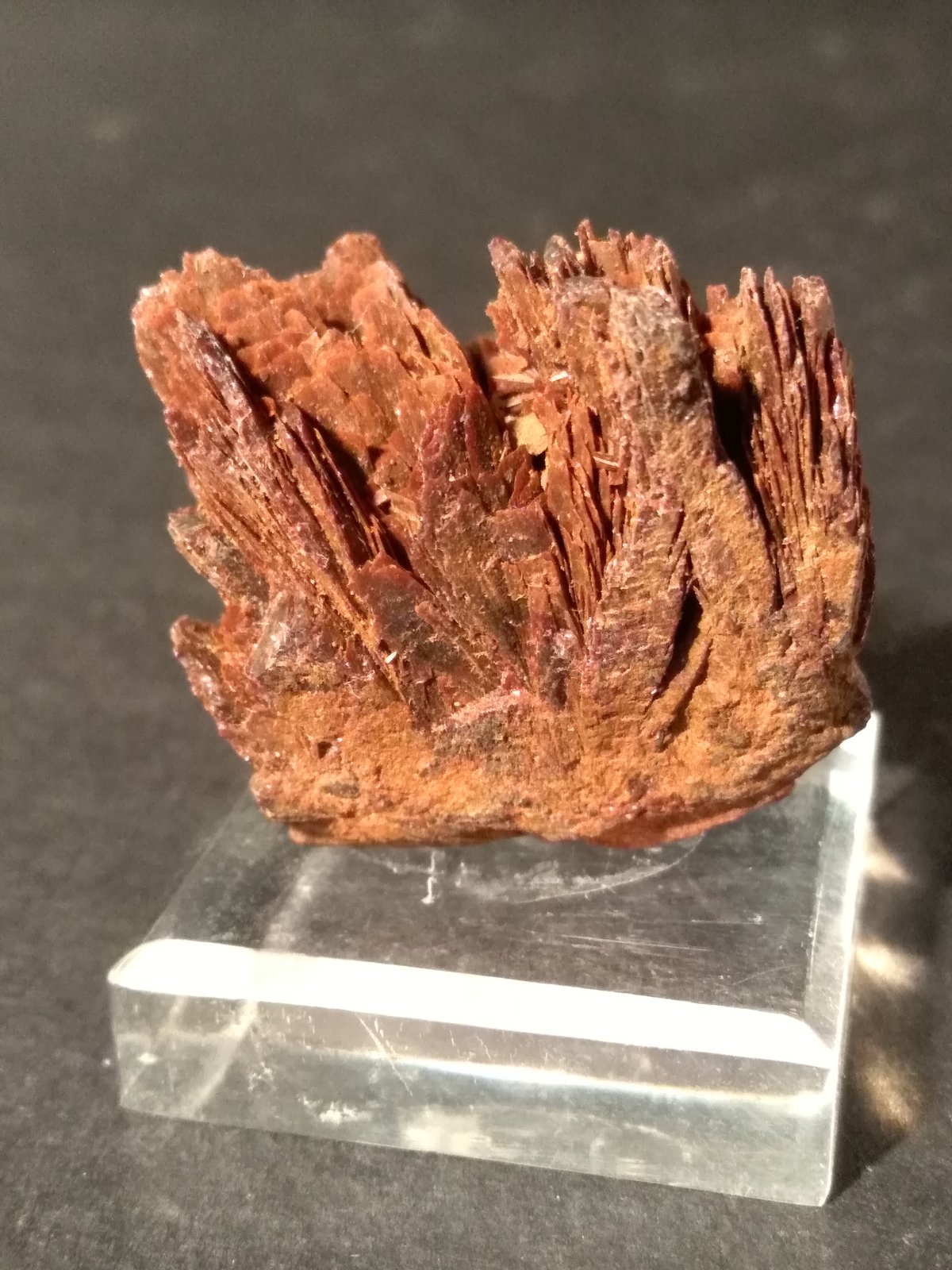 Santabarbaraite
32 x 32 mm
(Autor: Sante Celiberti)