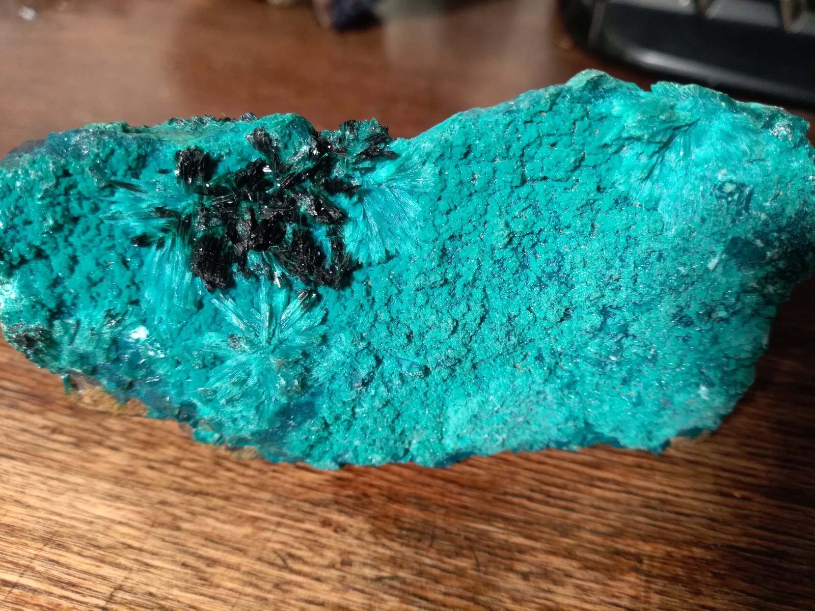 Atacamite, Libethenite, Pseudomalachite
78 x 44 mm
(Autor: Sante Celiberti)