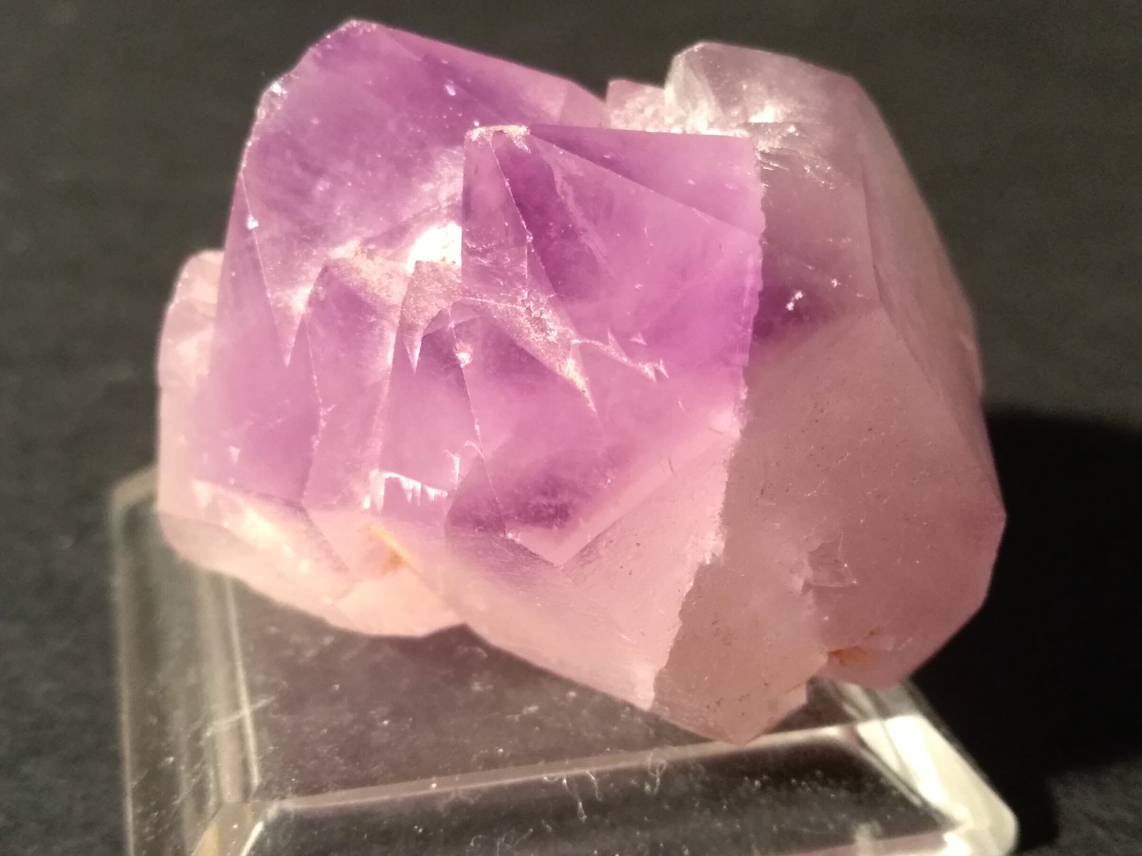 Quartz (variety amethyst)
44 x 34 mm
(Autor: Sante Celiberti)