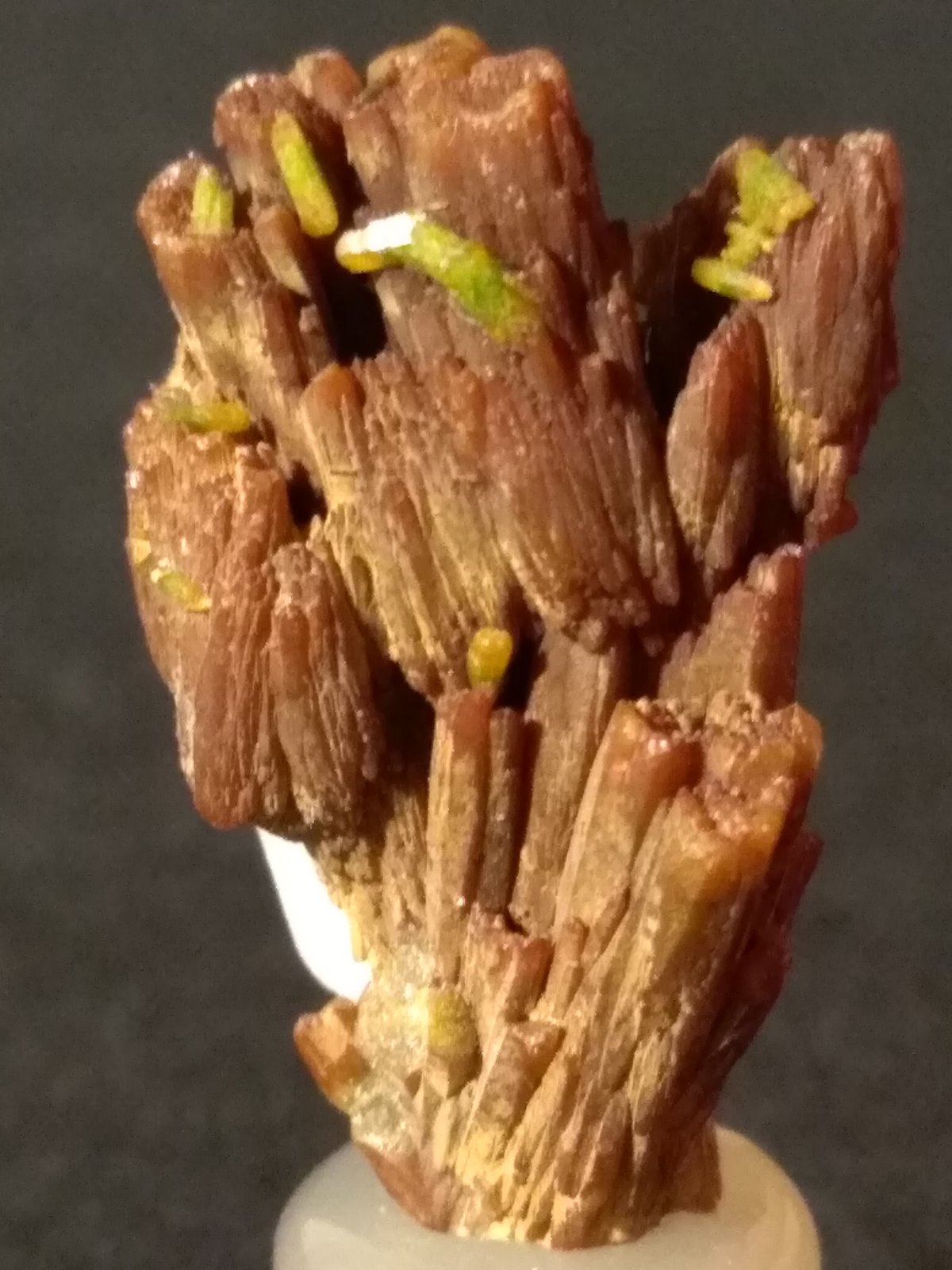 Pyromorphite
24 x 14 mm
(Autor: Sante Celiberti)