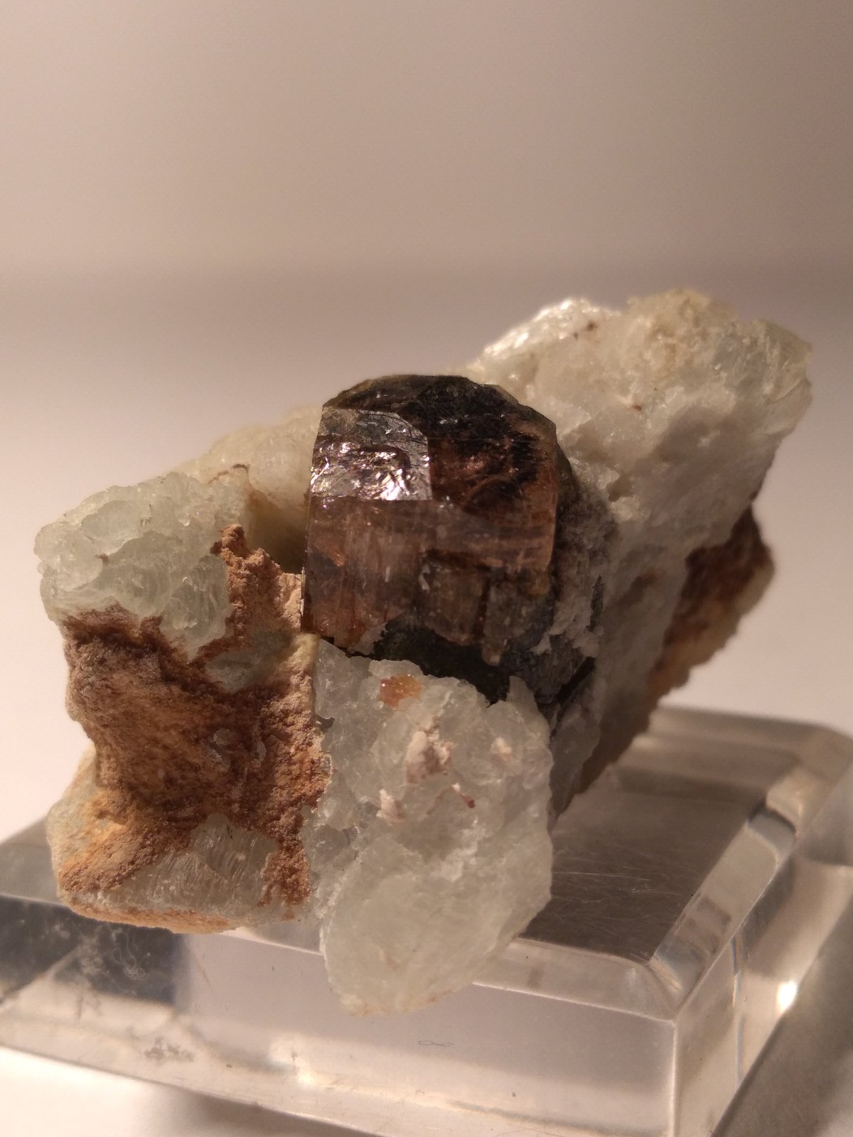Tourmaline (Group)
40 x 27 mm
(Autor: Sante Celiberti)
