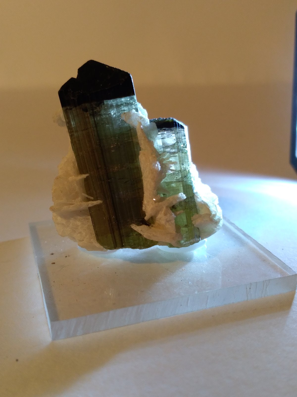 Tourmaline (Group), Albite
37 x 30 mm
(Autor: Sante Celiberti)