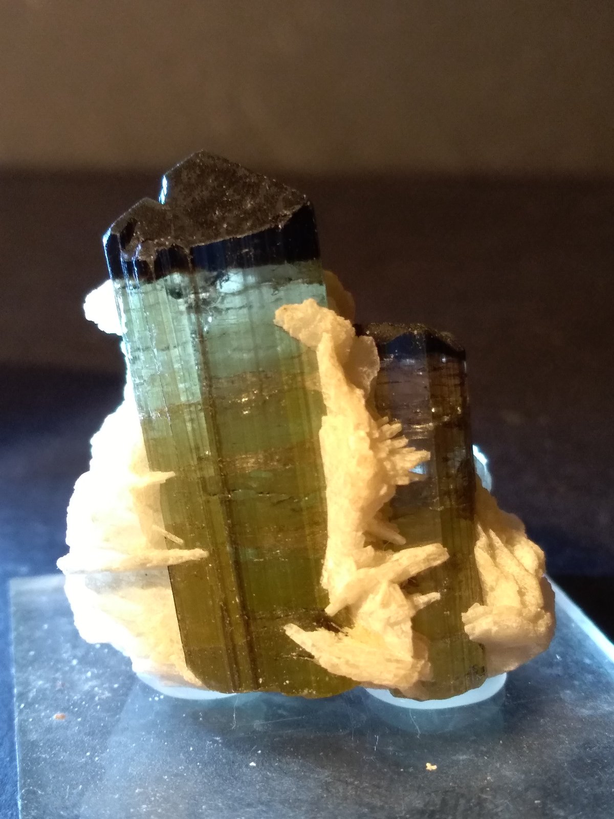 Tourmaline (Group), Albite
37 x 30 mm
(Autor: Sante Celiberti)