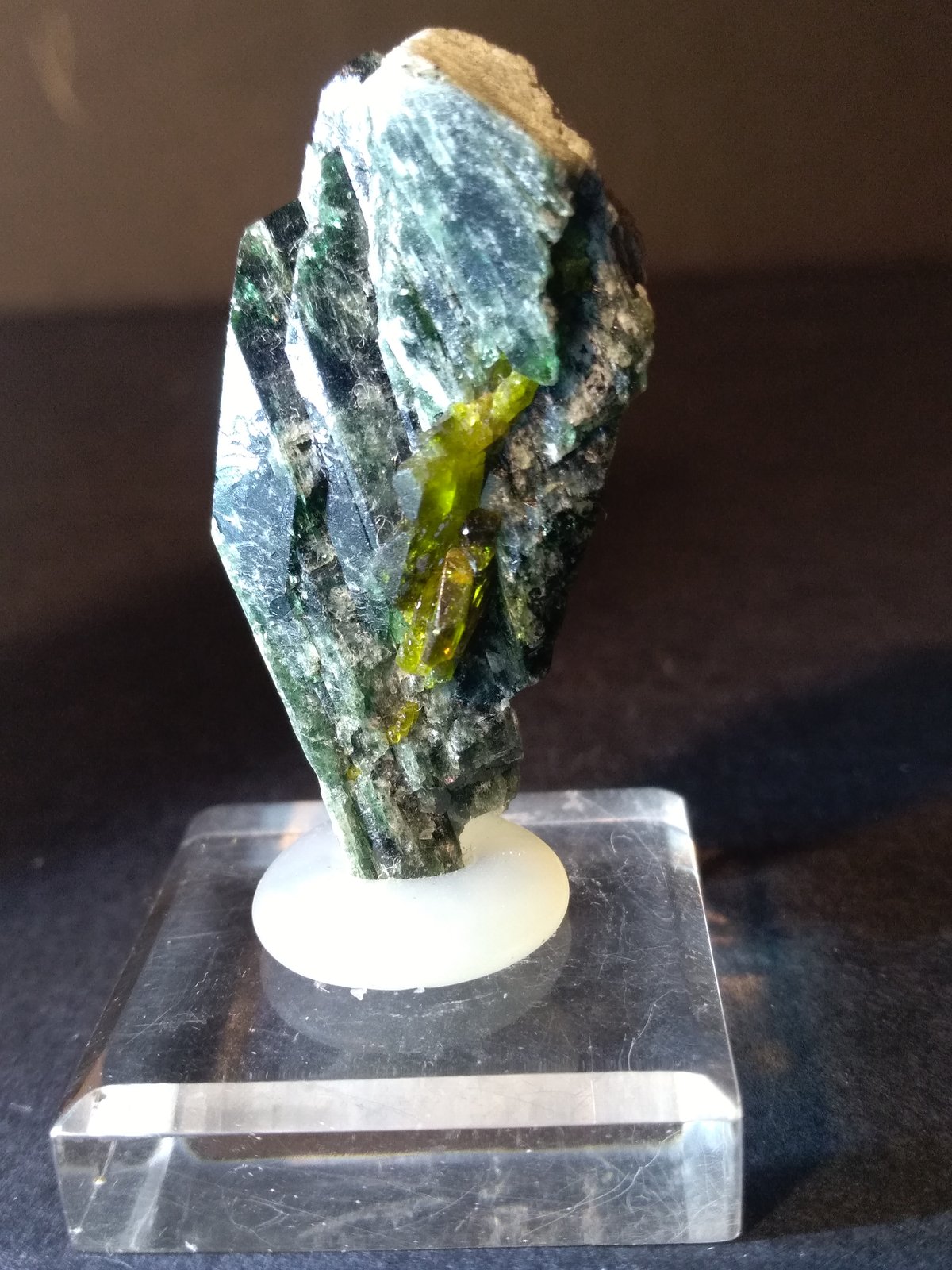 Titanite, Diopside
42 x 23 mm
(Autor: Sante Celiberti)