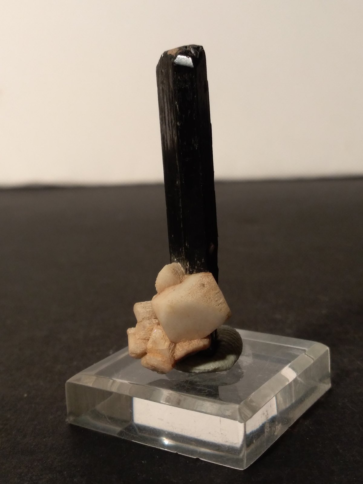 Arfvedsonite, Microcline
45 x 15 mm
(Autor: Sante Celiberti)
