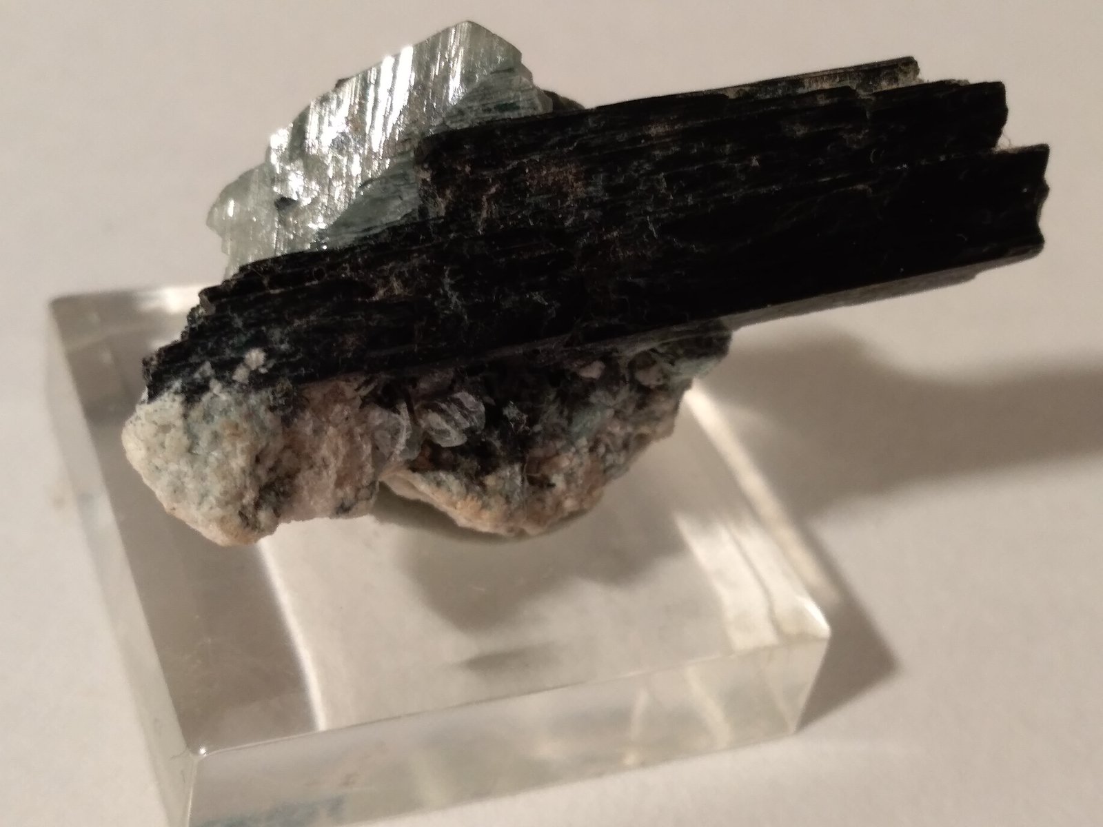 Titanite, Ferro-actinolite
40 x 22 mm
(Autor: Sante Celiberti)