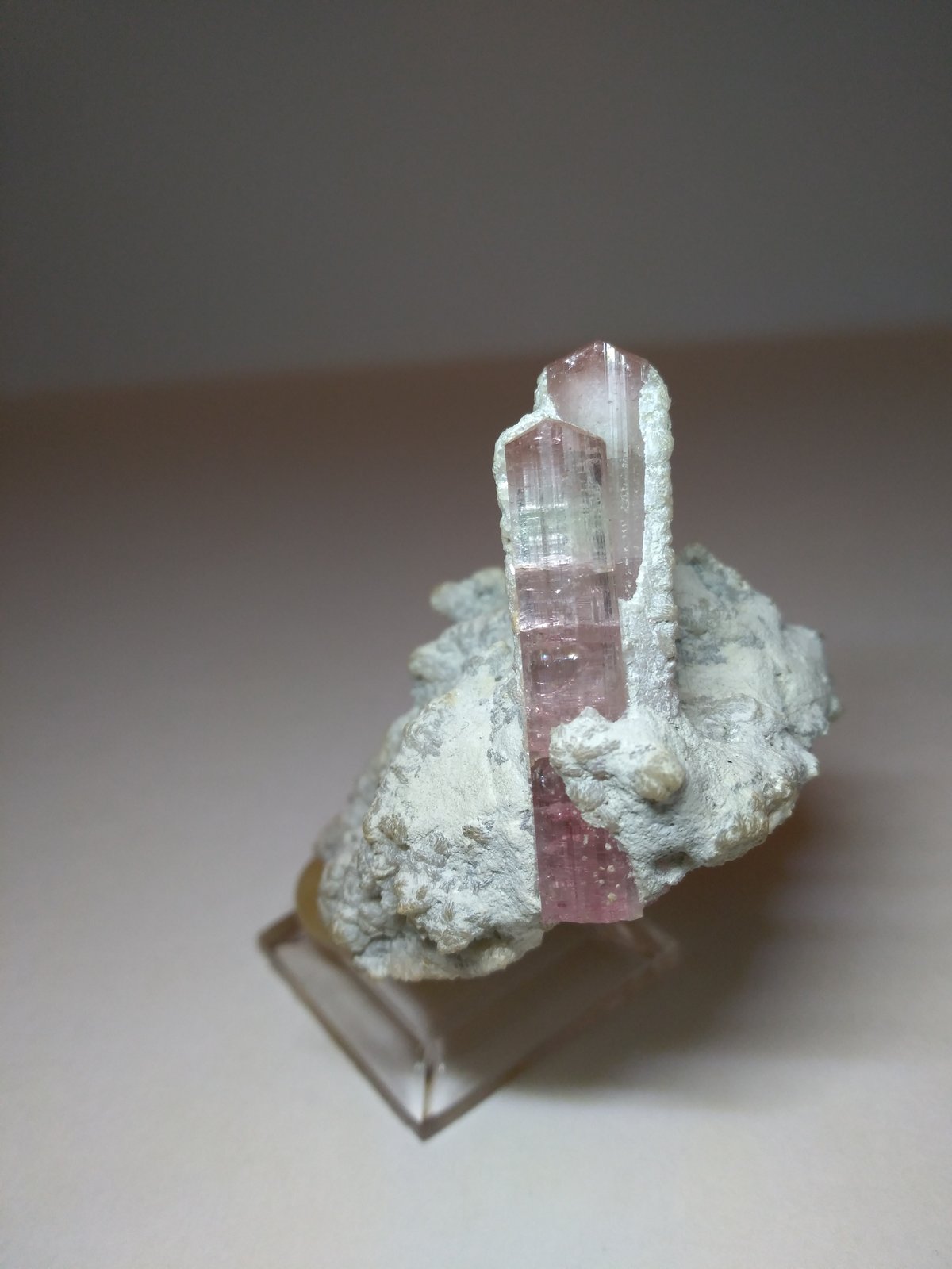 Tourmaline
55 x 46 mm
(Autor: Sante Celiberti)