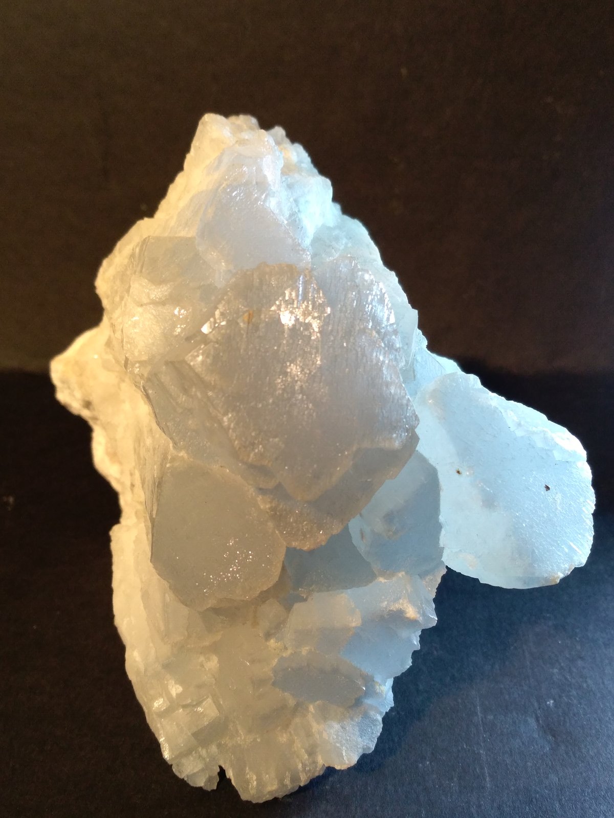 Celestine
11 x 10,5 cm
(Autor: Sante Celiberti)