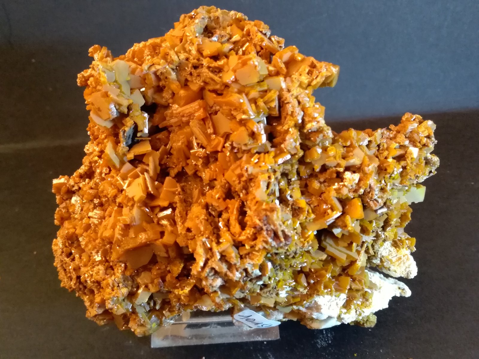 Wulfenite
11 x 9,5 cm
(Autor: Sante Celiberti)